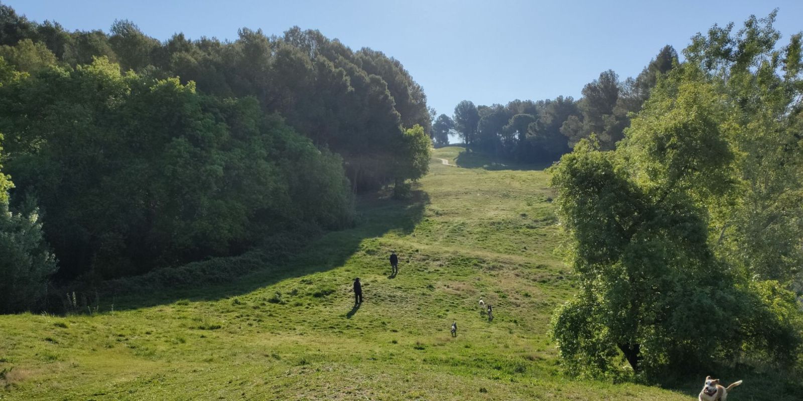 Els terrenys de l'antic camp de golf. FOTO: TOT Sant Cugat