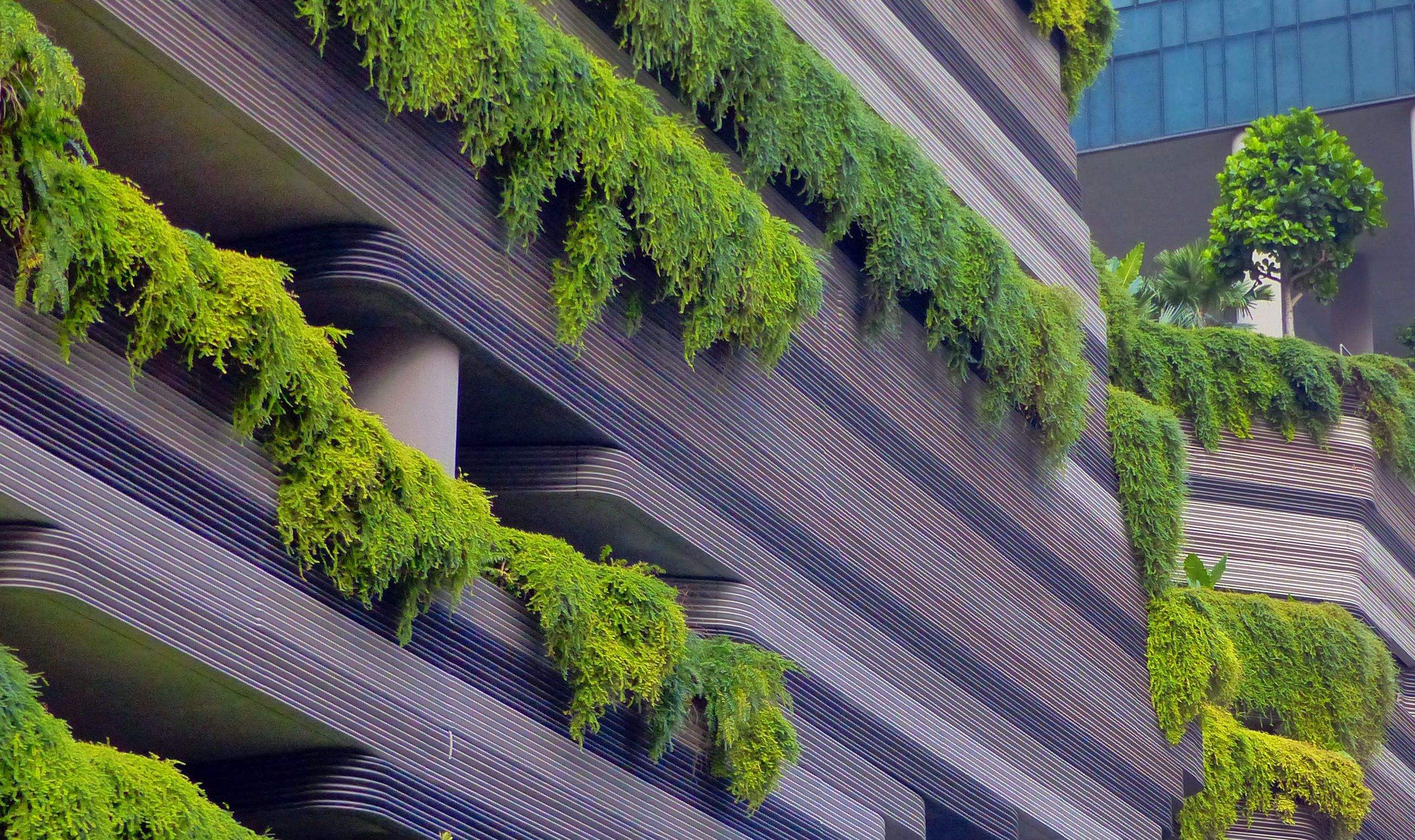 Projecte sostenible. FOTO: Cedida