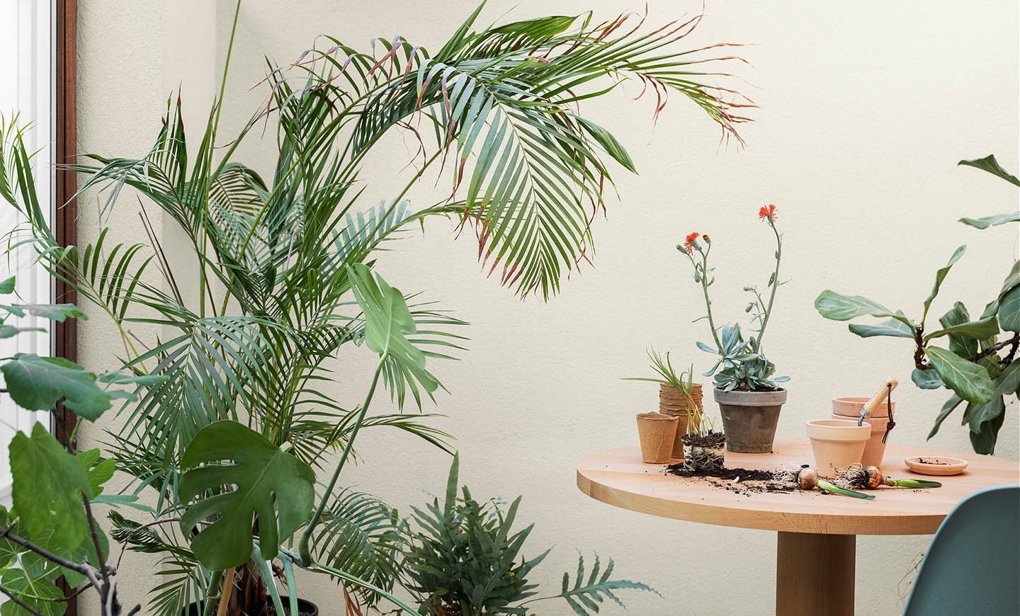 Les pintures de Jotun les trobaràs a Sant Cuga de Pintures del Grup DECASA. FOTO: Cedida