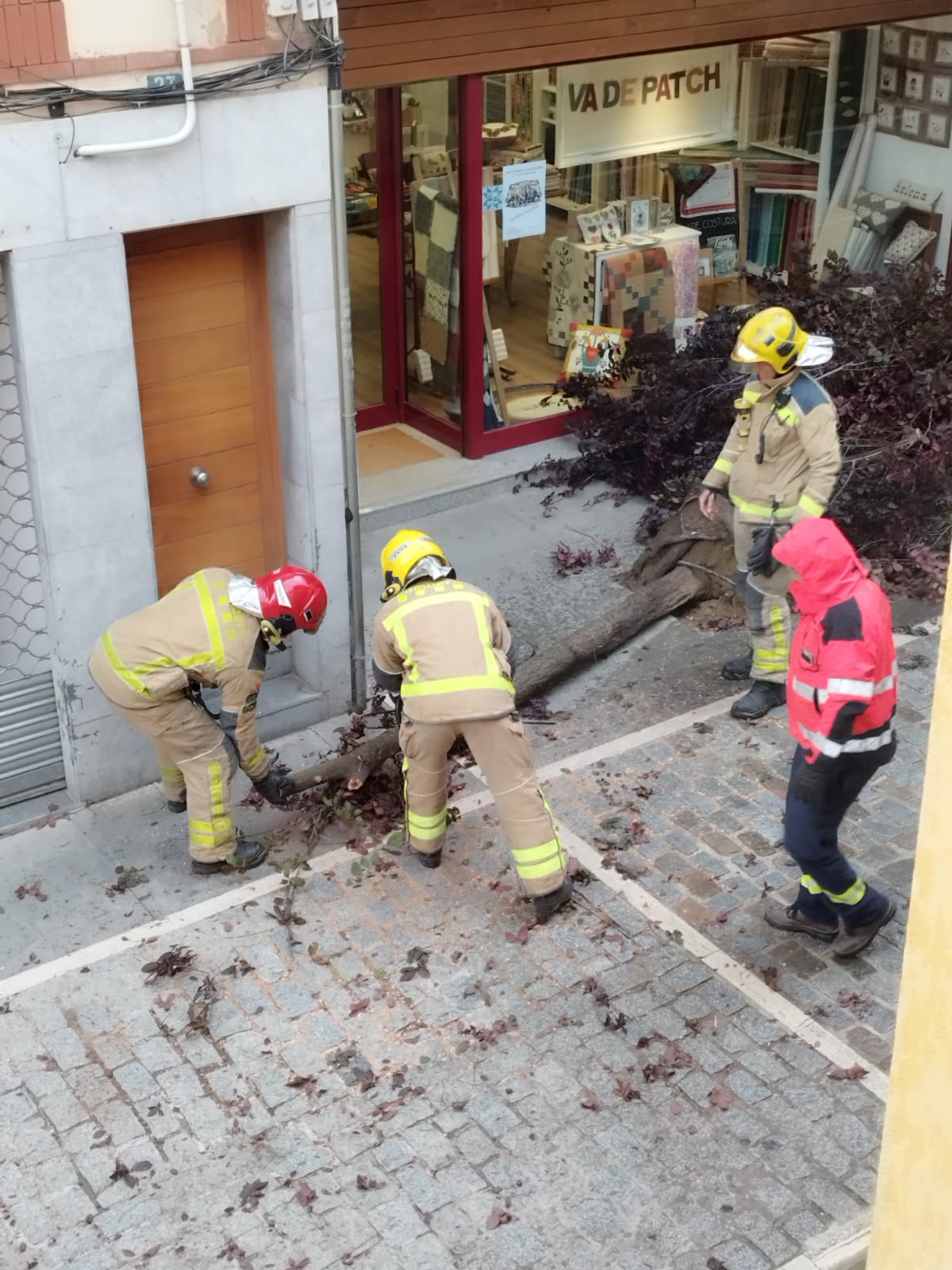 Els Bombers retiren un arbre caigut al carrer de Xerric. FOTO: Cedida