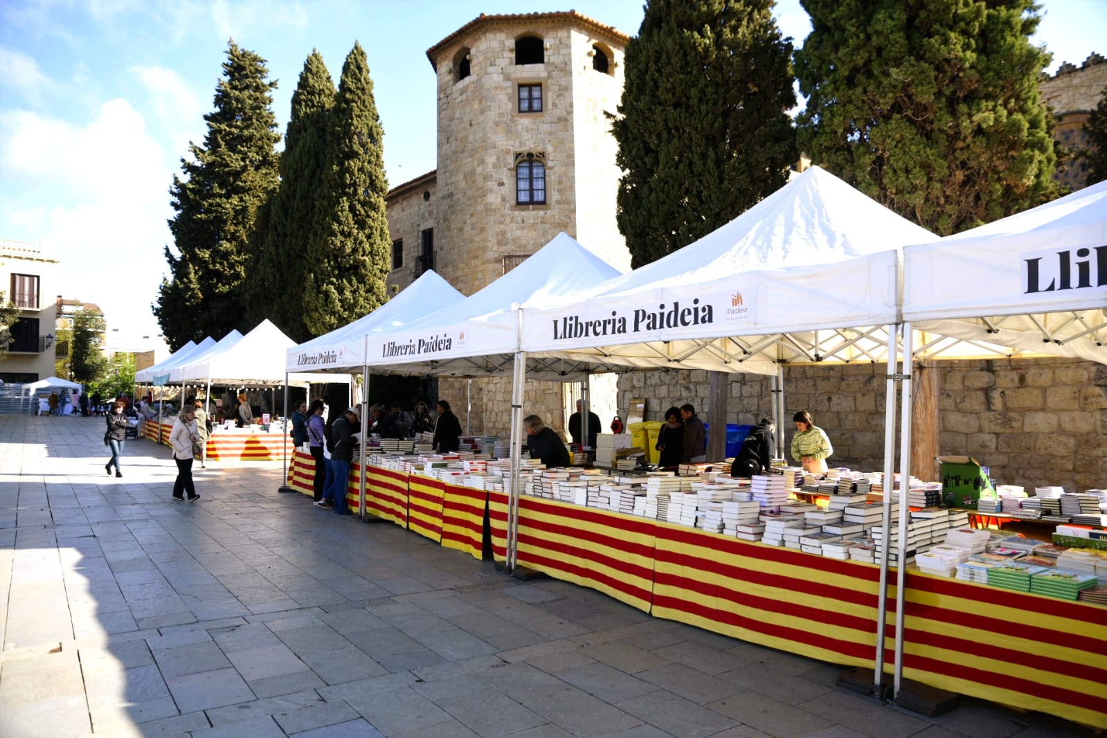 Sant Jordi a Sant Cugat 2024 FOTO: Bernat Millet