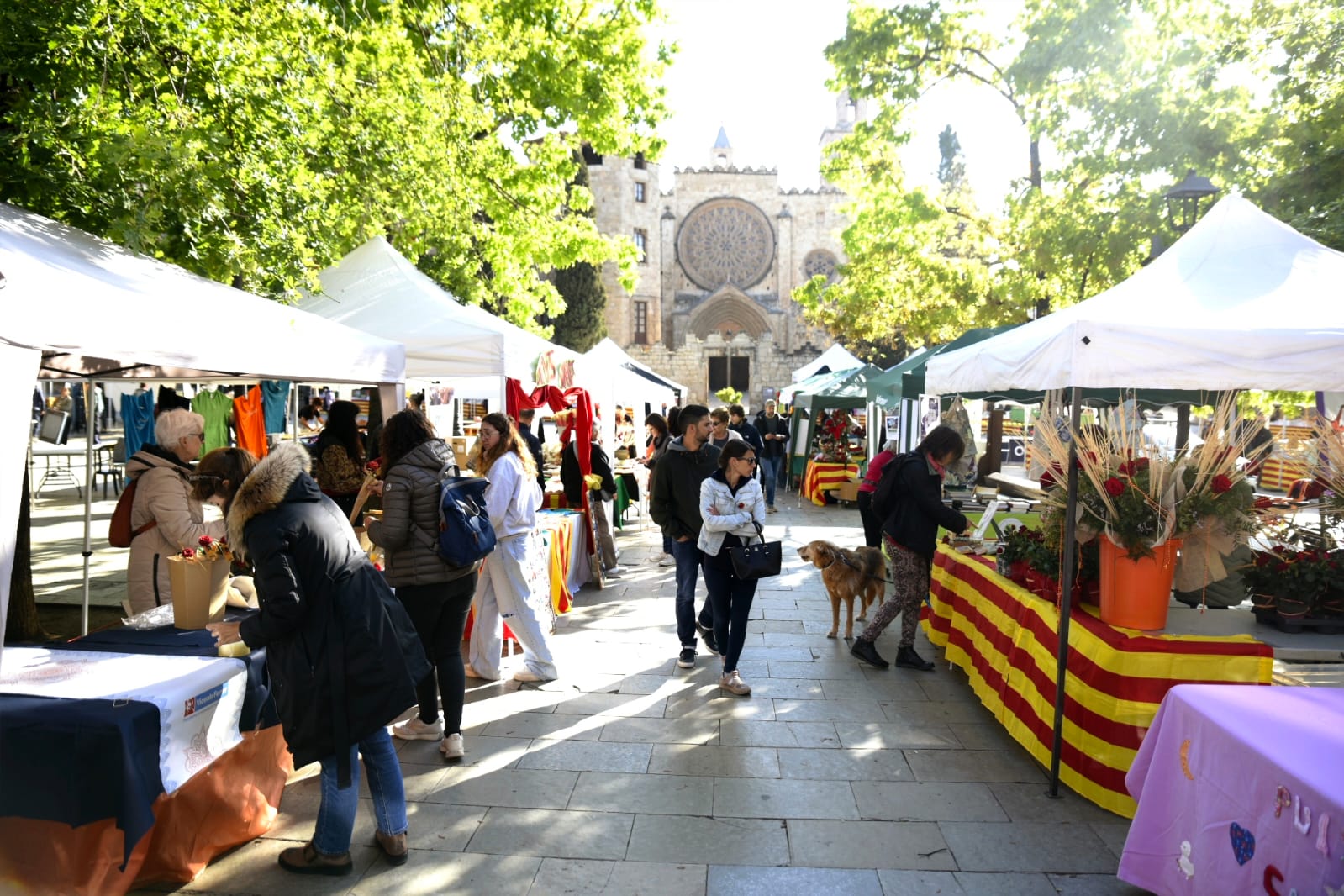 La plaça d'Octavià, epicentre de la diada FOTO: Bernat Millet