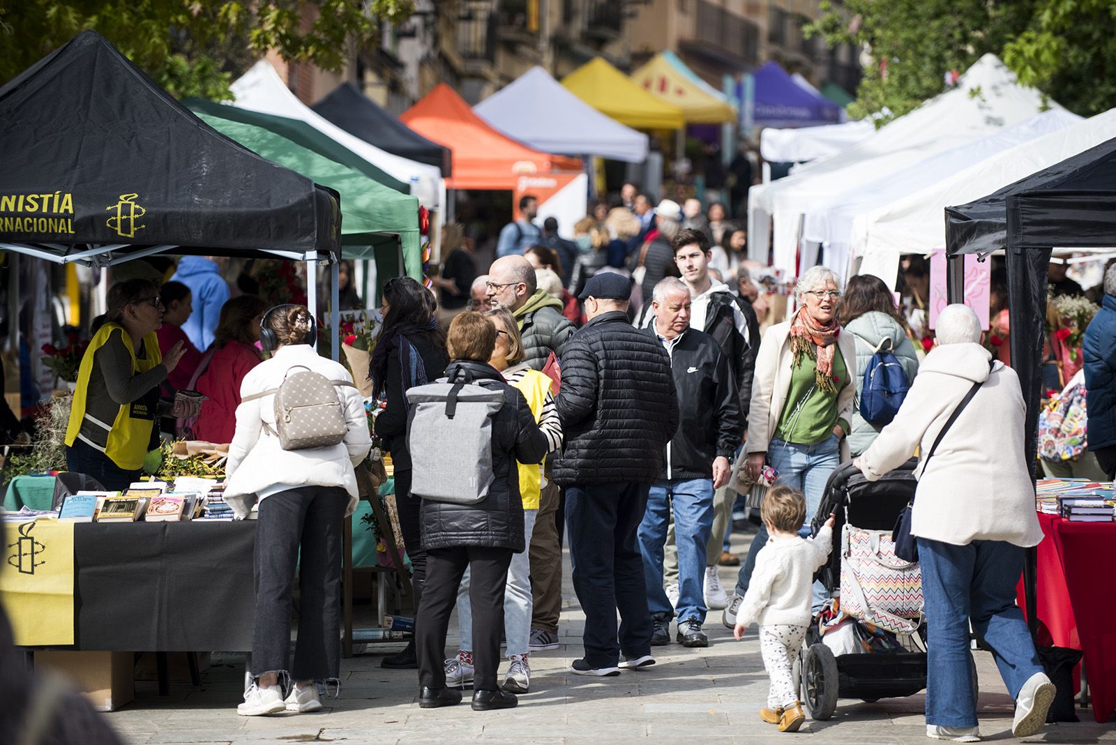 Sant Jordi a Sant Cugat 2024 FOTO: Bernat Millet