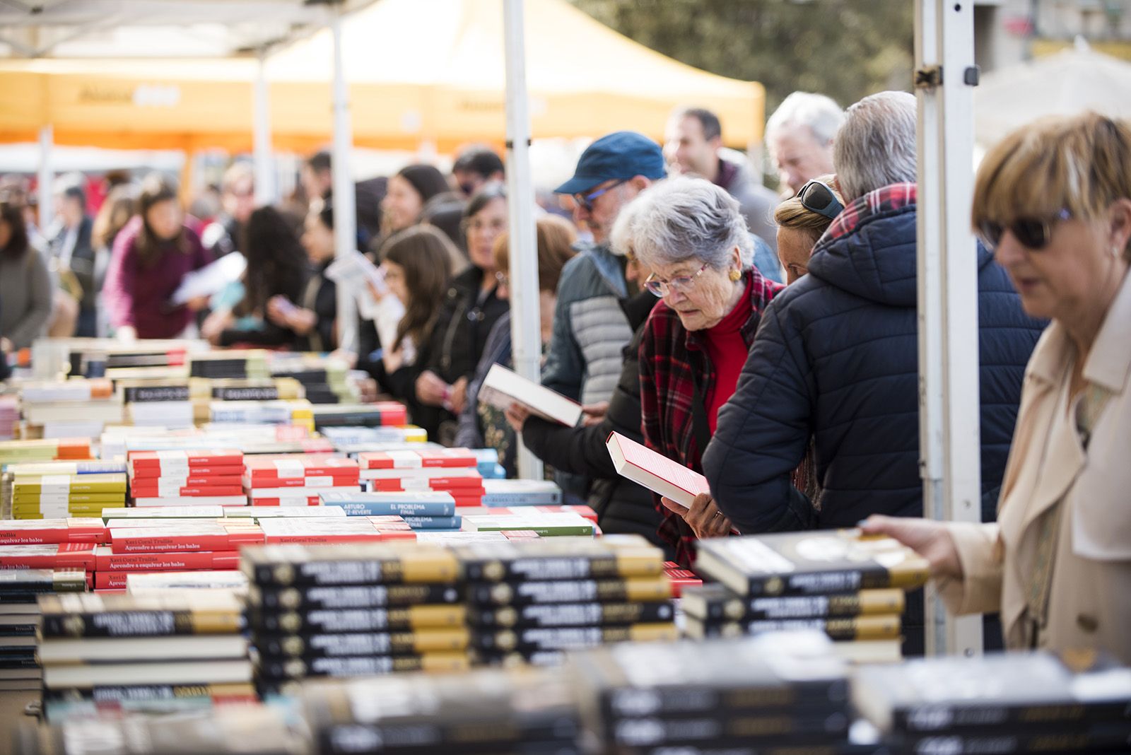 Sant Jordi a Sant Cugat 2024 FOTO: Bernat Millet
