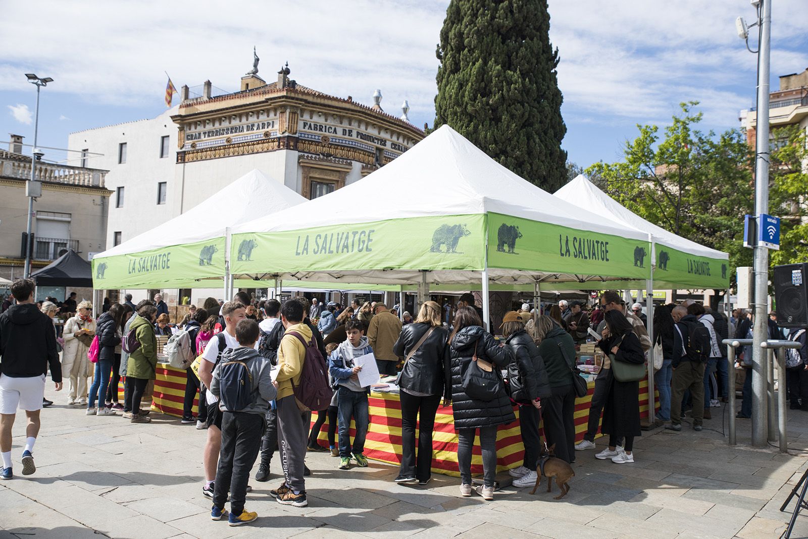 Sant Jordi a Sant Cugat 2024 FOTO: Bernat Millet