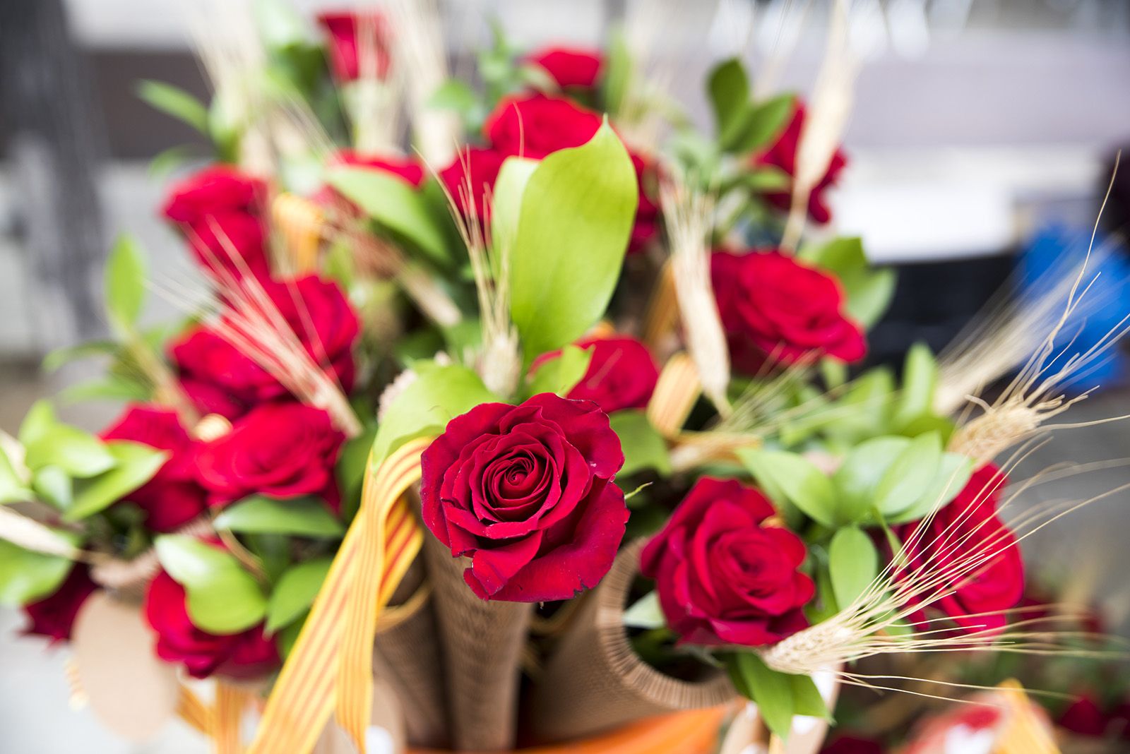 Sant Jordi a Sant Cugat 2024 FOTO: Bernat Millet