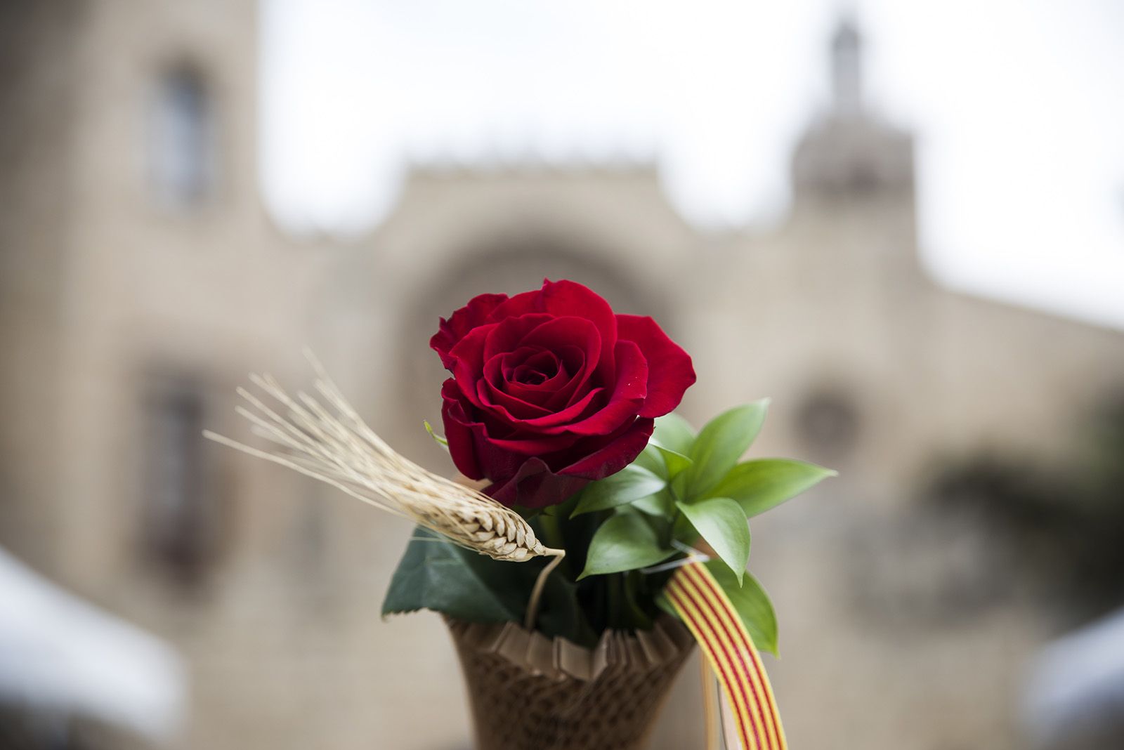 Sant Jordi a Sant Cugat 2024 FOTO: Bernat Millet