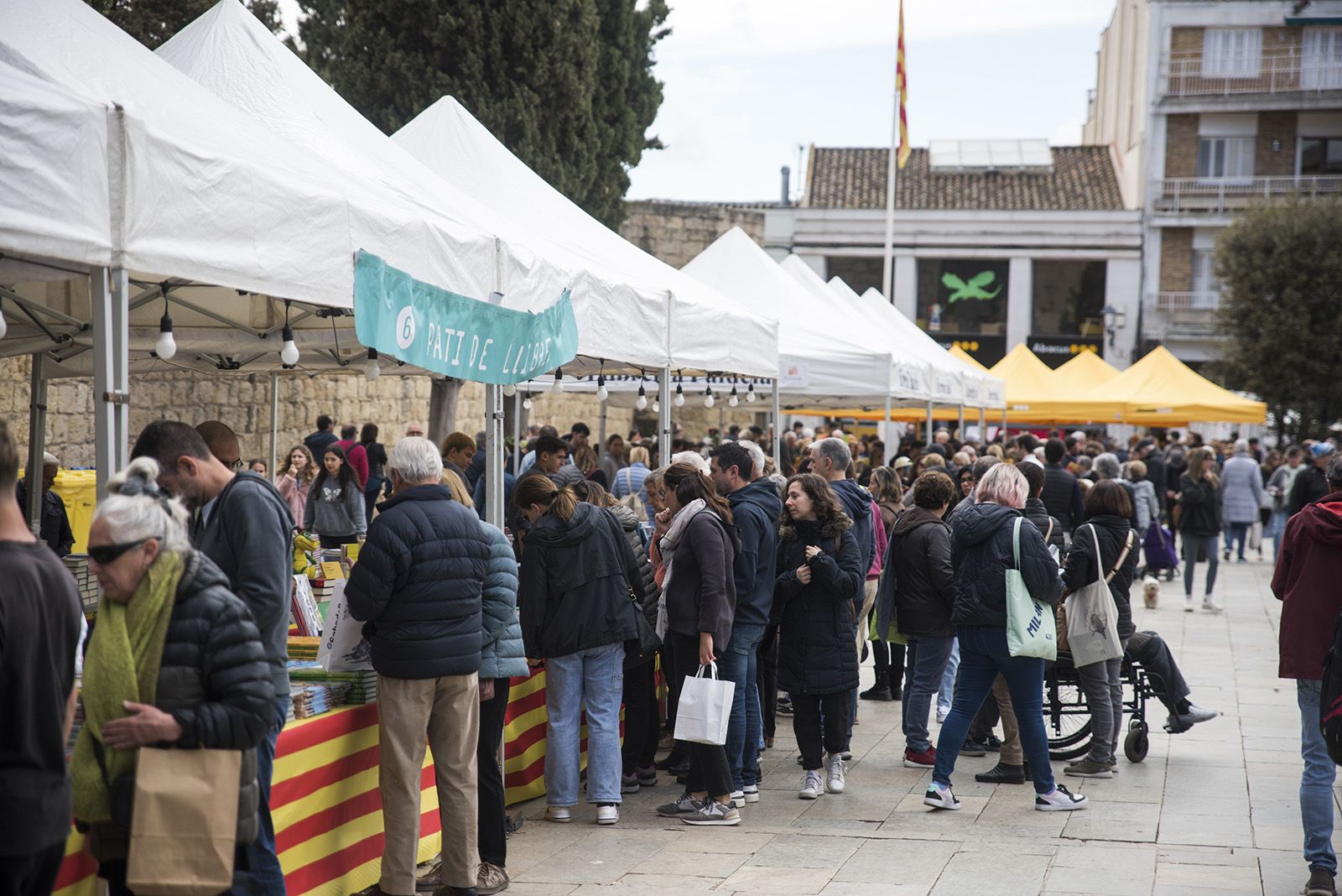 Sant Jordi a Sant Cugat 2024 FOTO: Bernat Millet