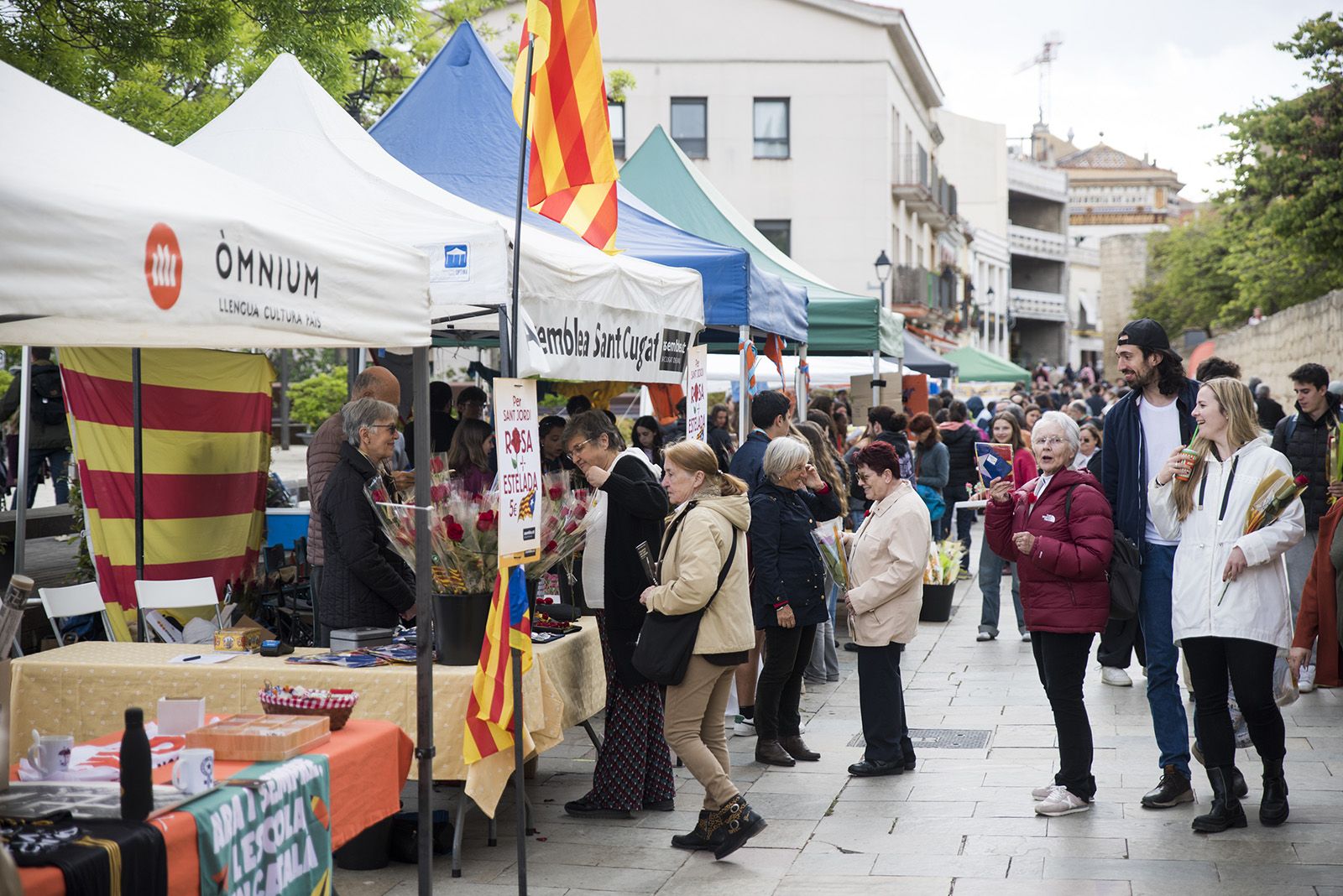 Sant Jordi a Sant Cugat 2024 FOTO: Bernat Millet