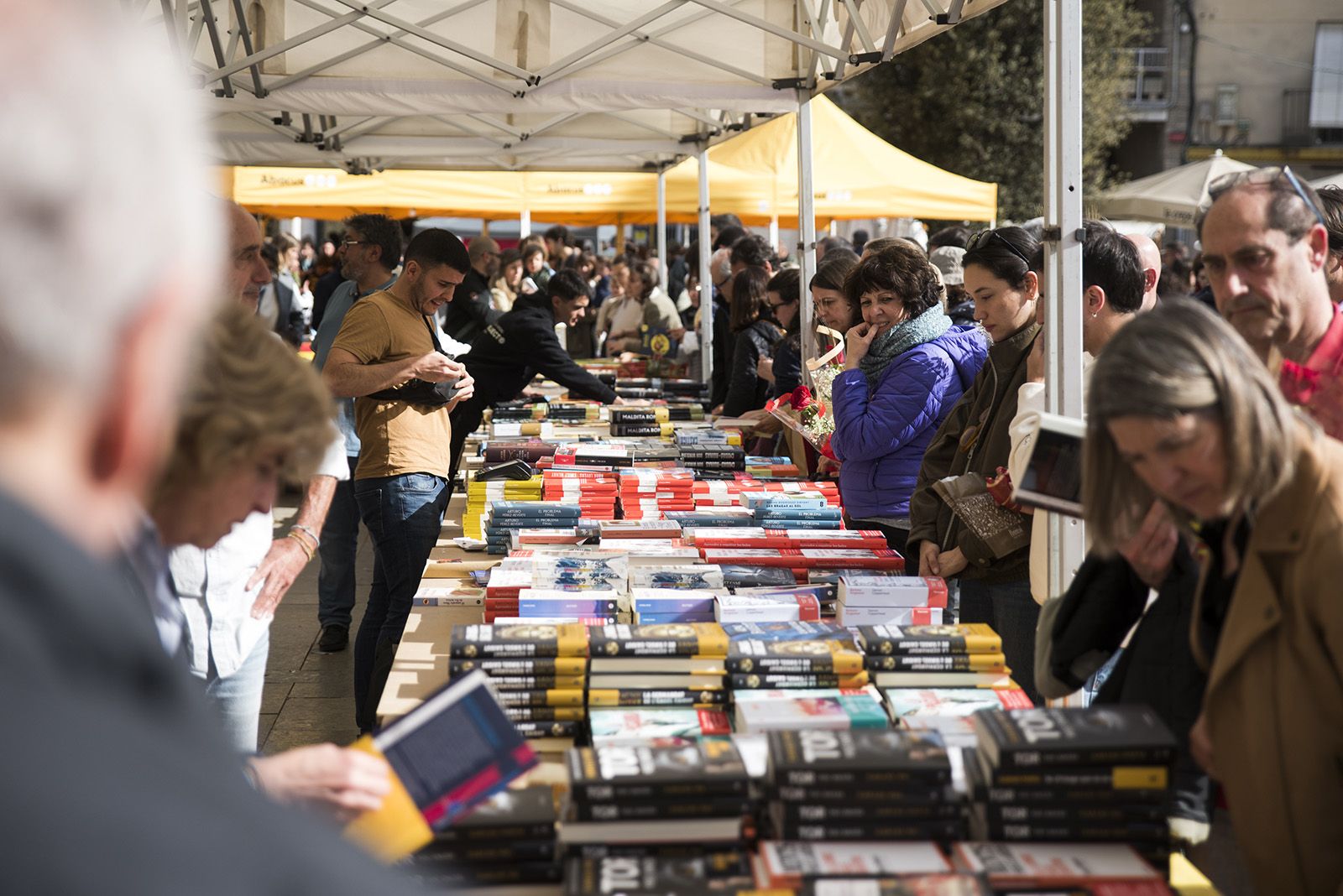 Sant Jordi a Sant Cugat 2024 FOTO: Bernat Millet