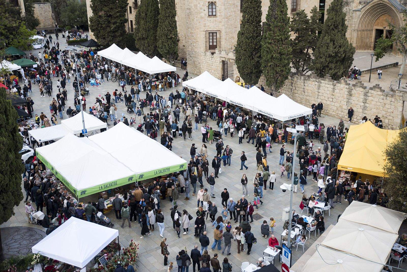 Sant Jordi a Sant Cugat 2024 FOTO: Bernat Millet