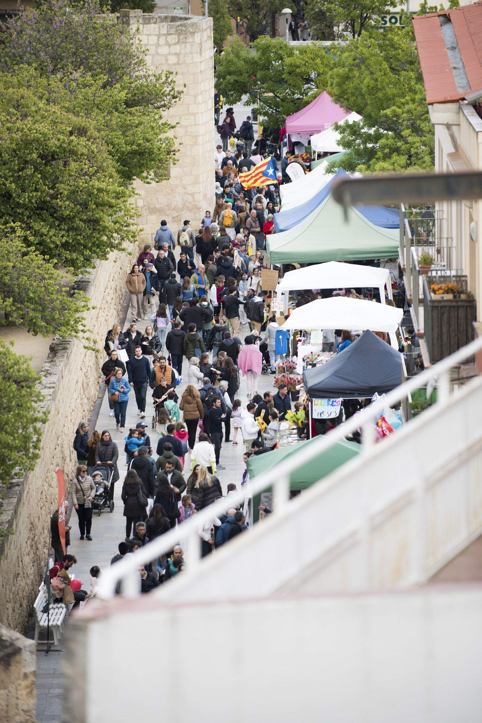 Sant Jordi a Sant Cugat 2024 FOTO: Bernat Millet