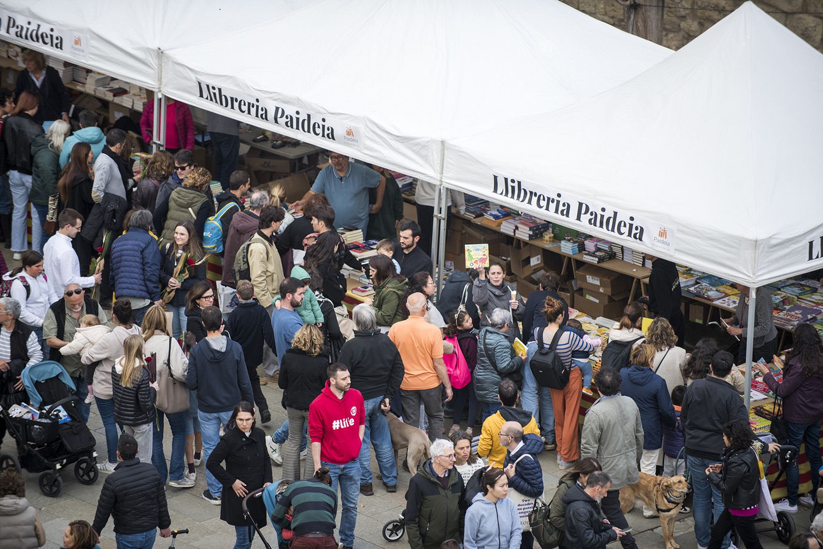 Sant Jordi a Sant Cugat 2024 FOTO: Bernat Millet