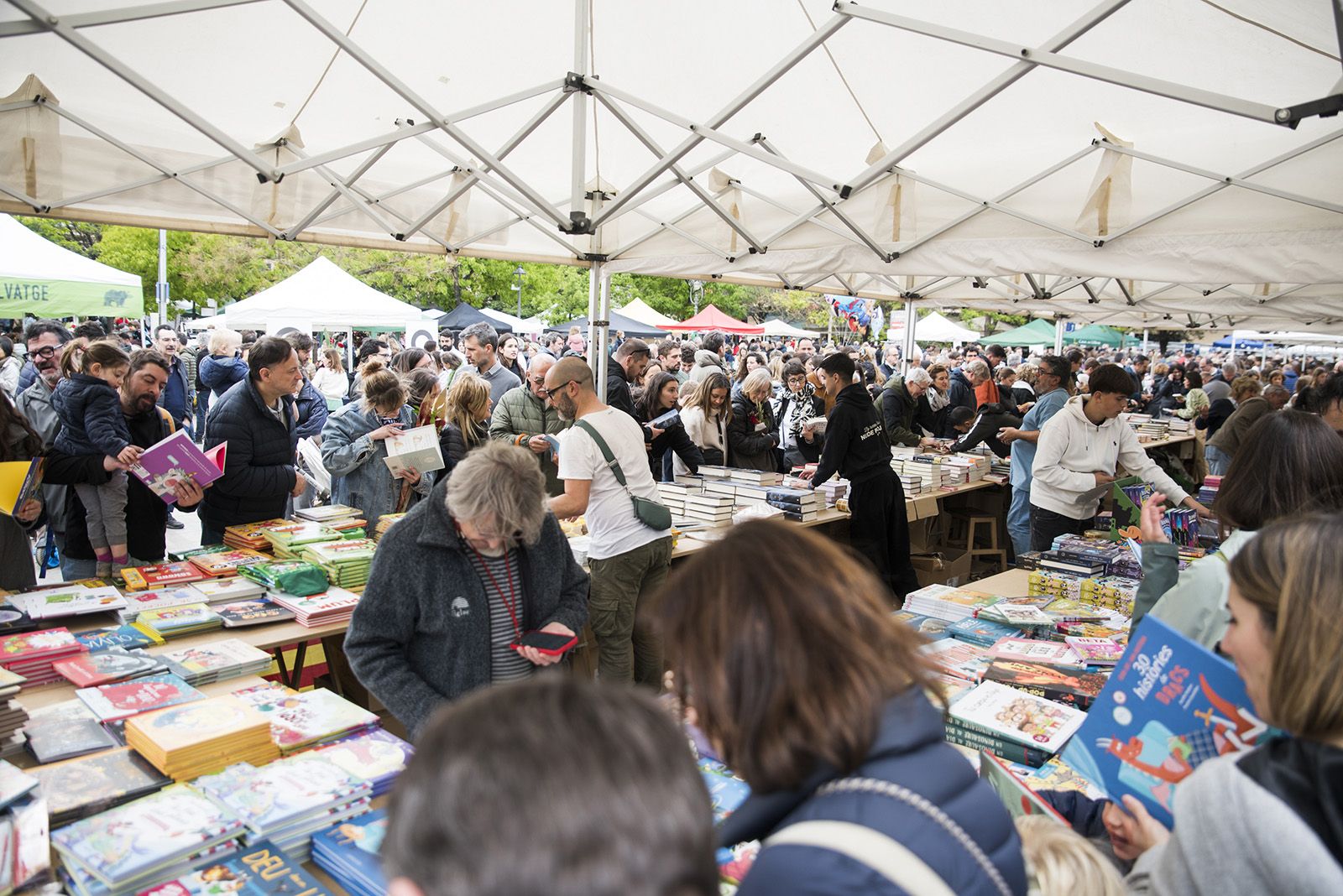 Sant Jordi a Sant Cugat 2024 FOTO: Bernat Millet