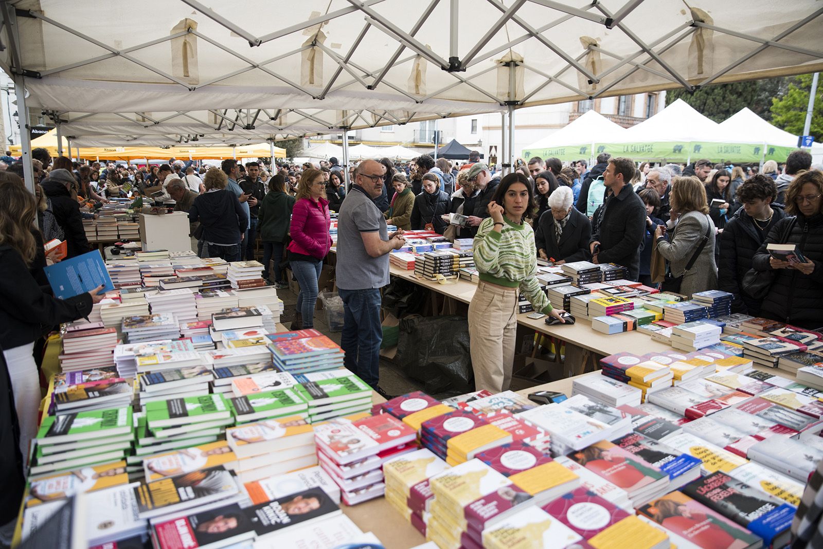 Sant Jordi a Sant Cugat 2024 FOTO: Bernat Millet