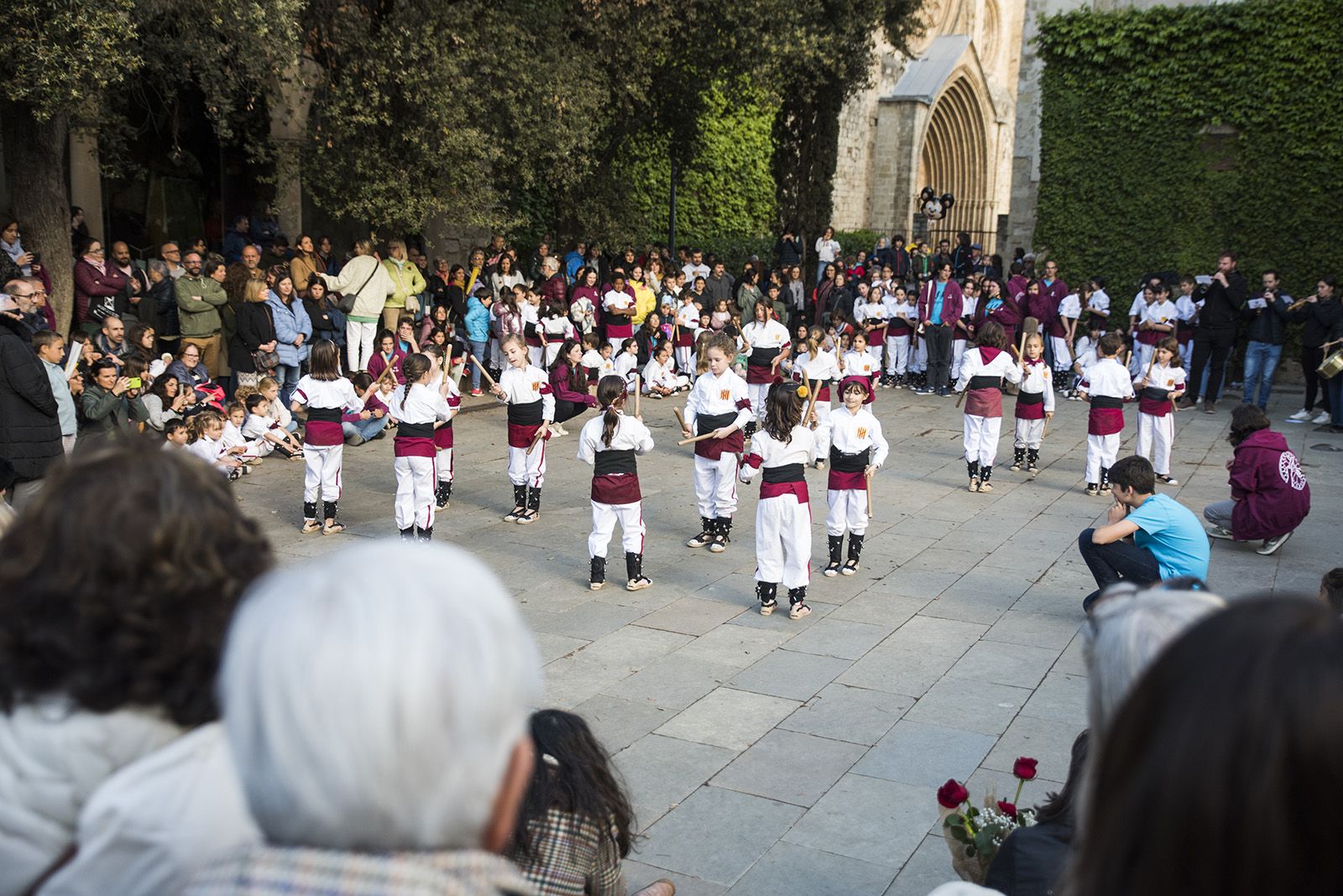 Actuació de Bastoners per Sant Jordi. FOTO: Bernat Millet
