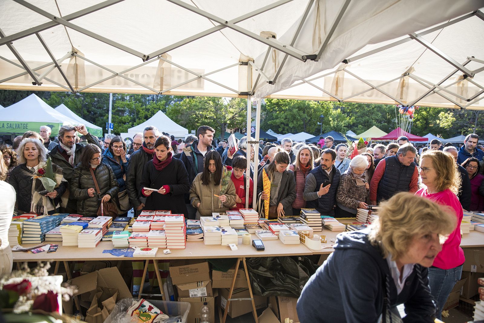 Sant Jordi a Sant Cugat 2024 FOTO: Bernat Millet