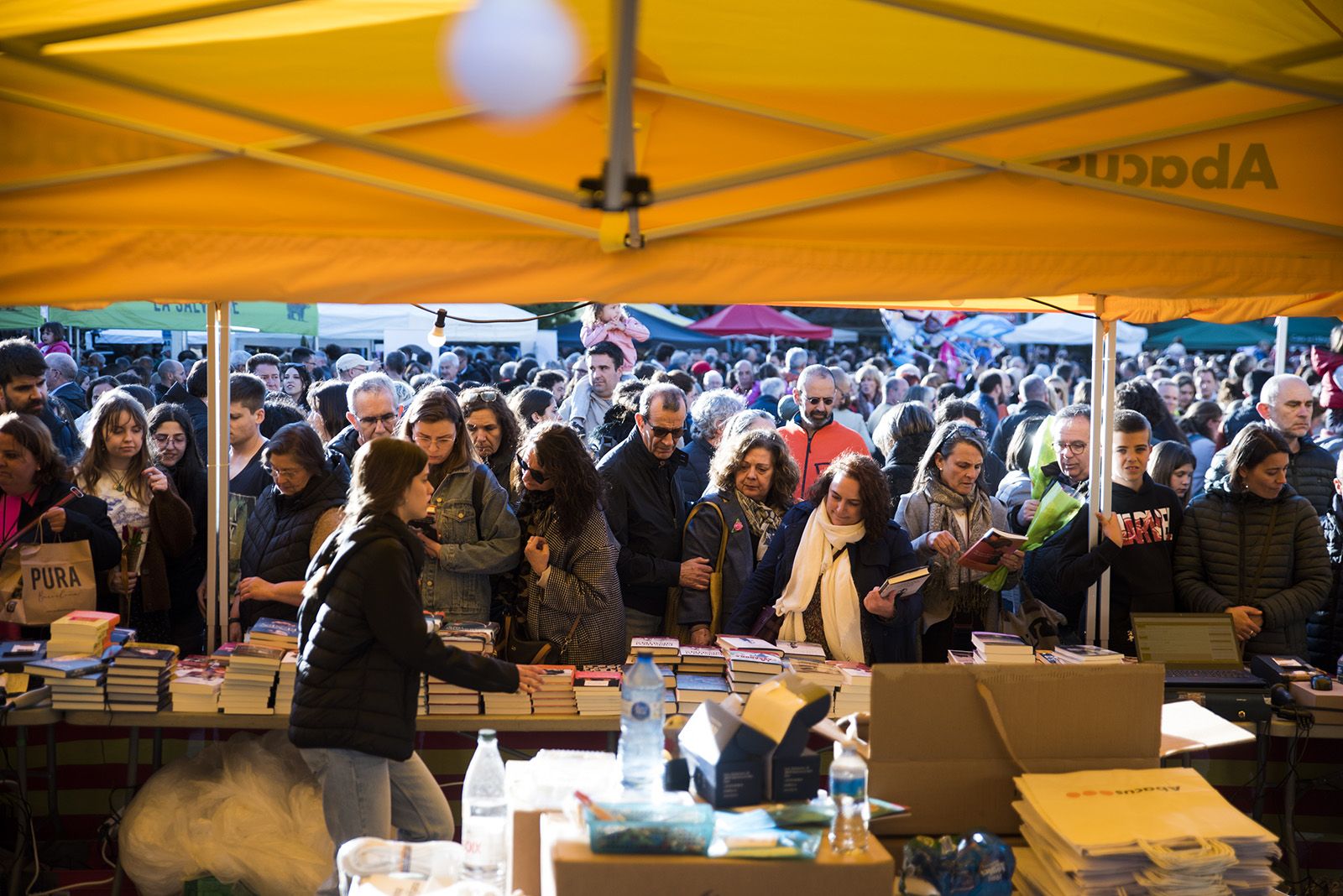 Sant Jordi a Sant Cugat 2024 FOTO: Bernat Millet