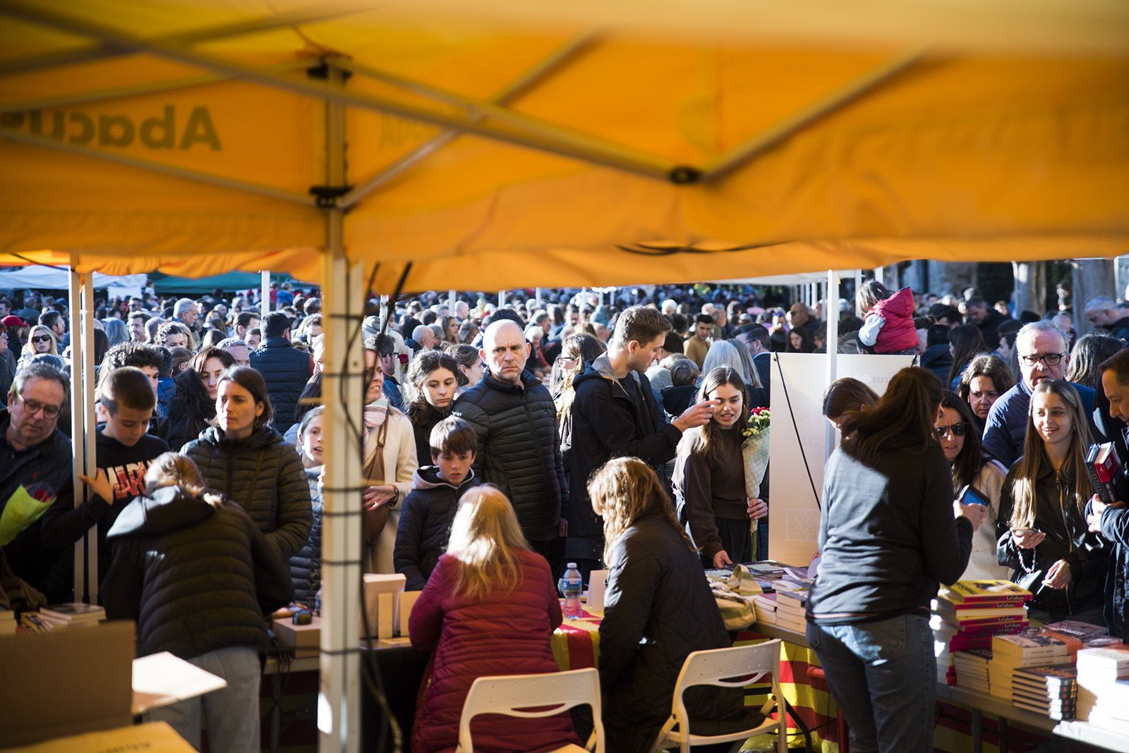 Sant Jordi a Sant Cugat 2024 FOTO: Bernat Millet