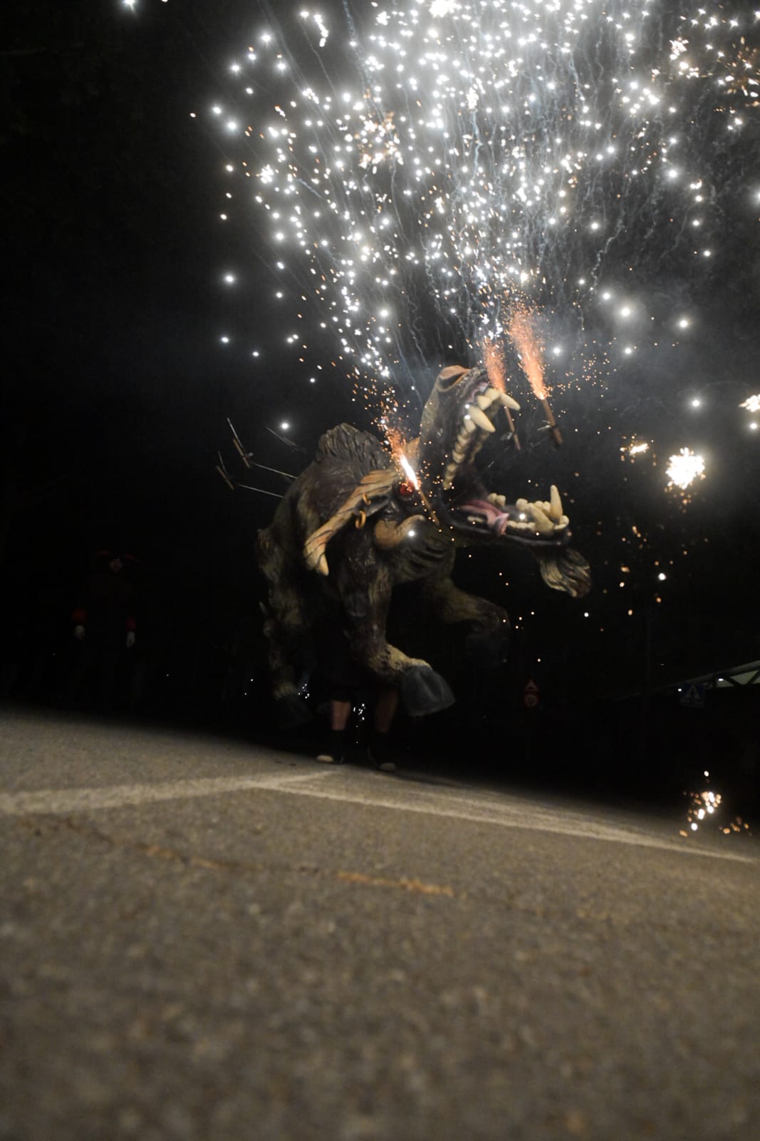 Despertar del Boc de l'Encabronada 2024 FOTO: Albert Canalejo