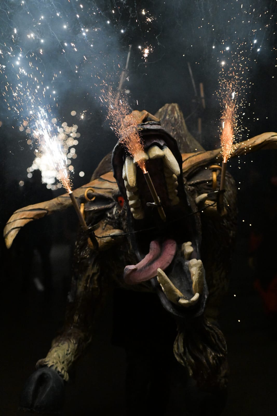 Despertar del Boc de l'Encabronada 2024 FOTO: Albert Canalejo