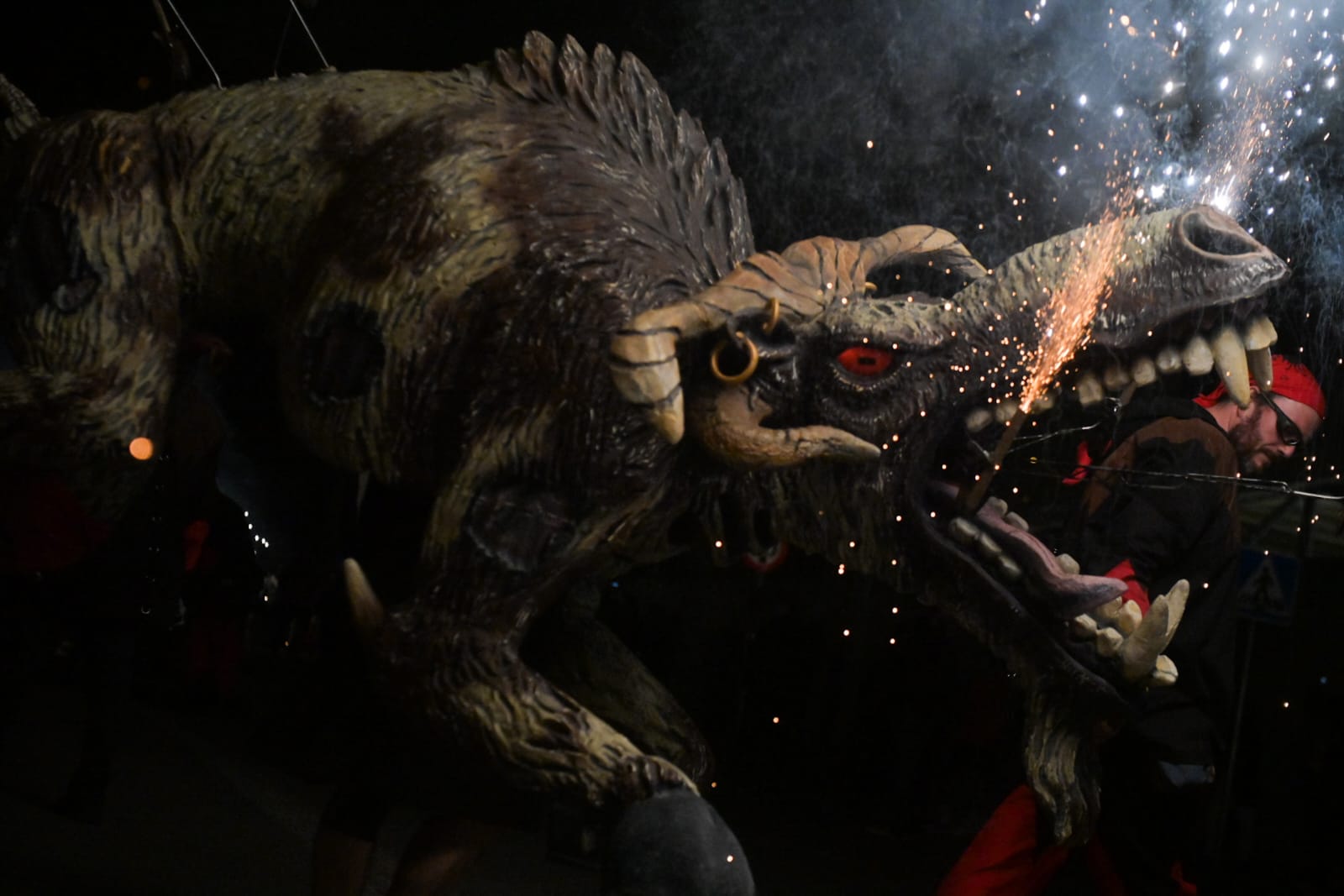 Despertar del Boc de l'Encabronada 2024 FOTO: Albert Canalejo