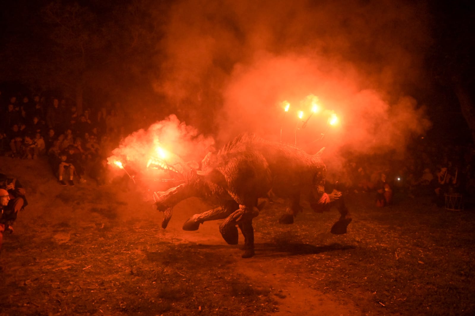 Despertar del Boc de l'Encabronada 2024 FOTO: Albert Canalejo