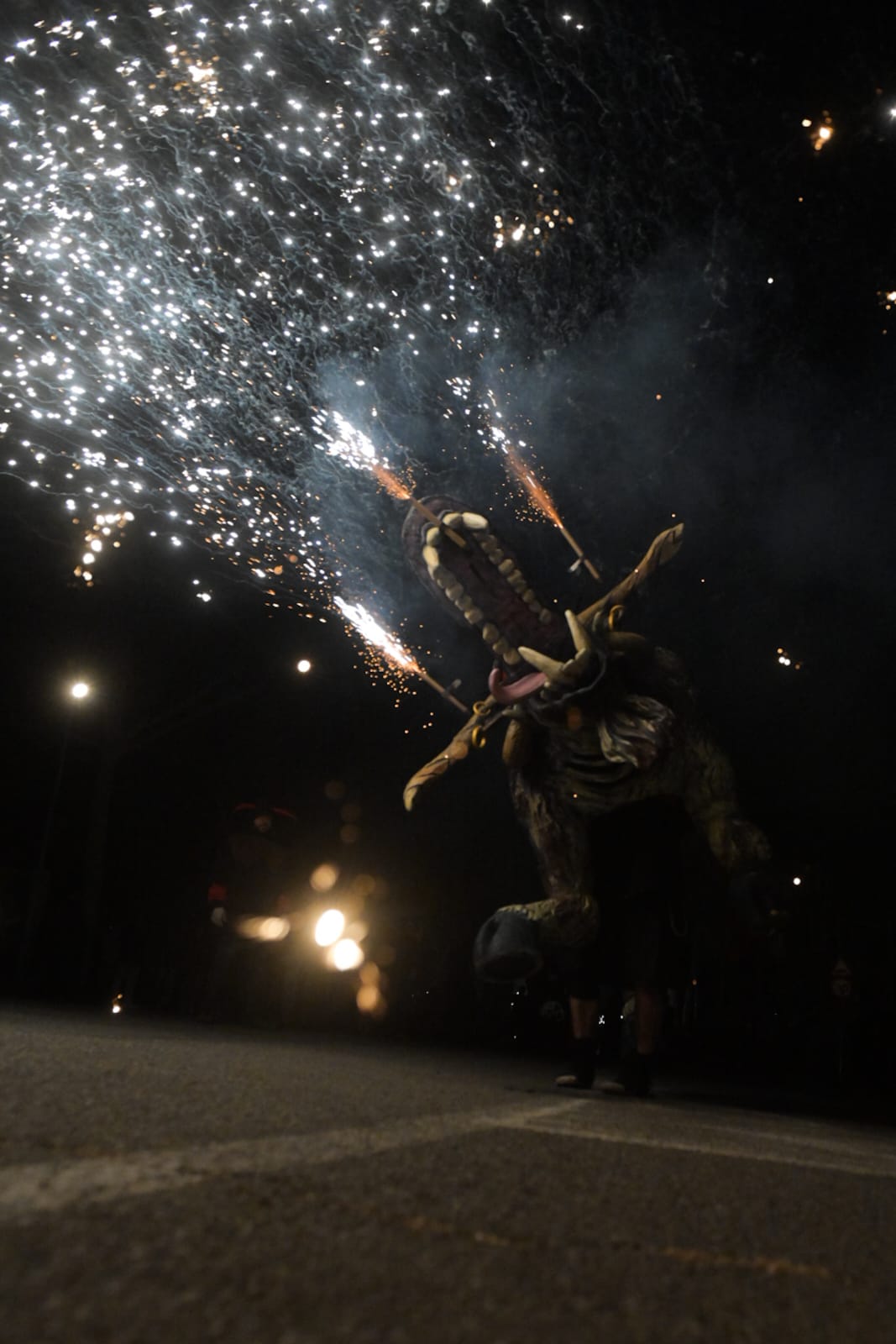 Despertar del Boc de l'Encabronada 2024 FOTO: Albert Canalejo