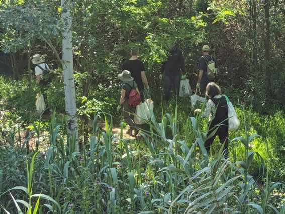 Programa Let’s Clean Up Europe FOTO: Cedida