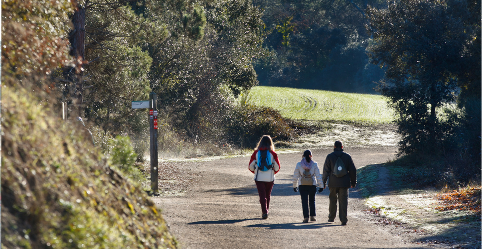 Passejades per Collserola