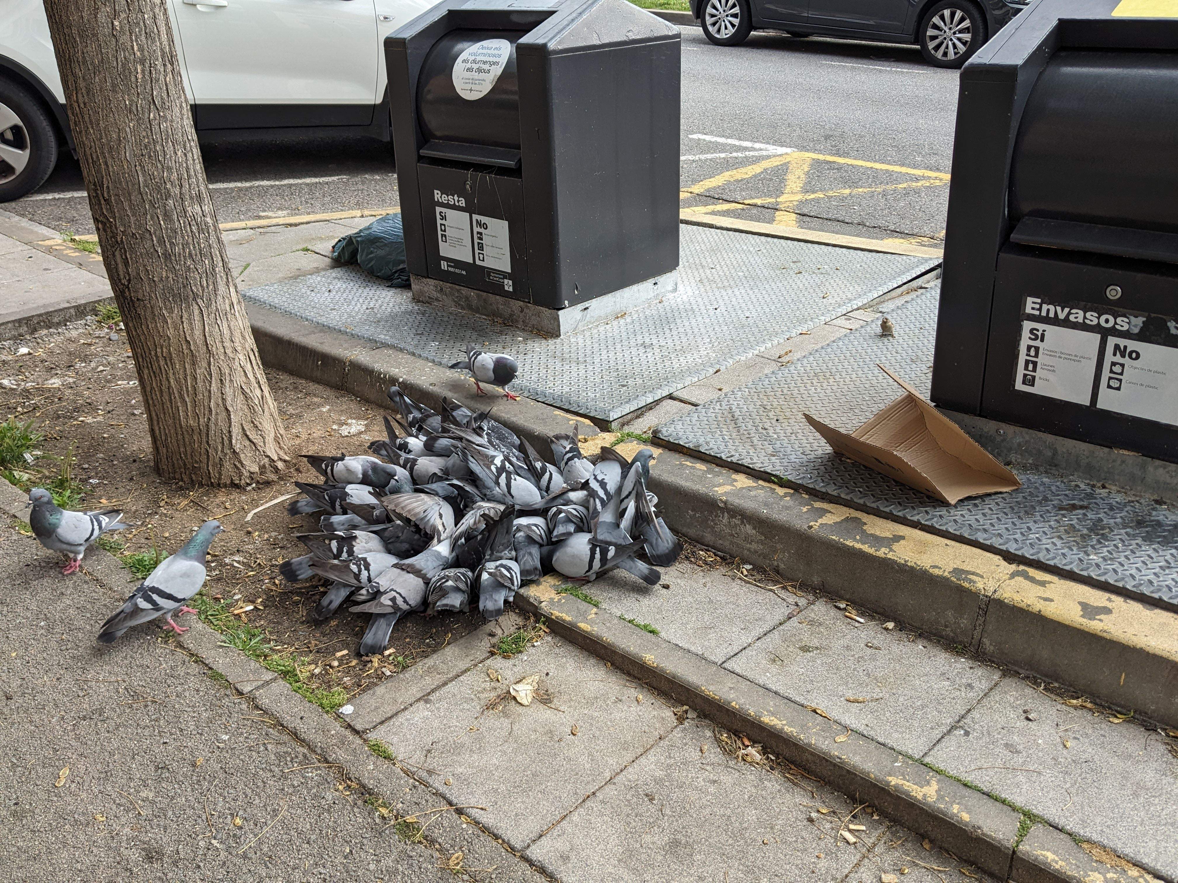 FOTO: Cristina Esteve Massagué