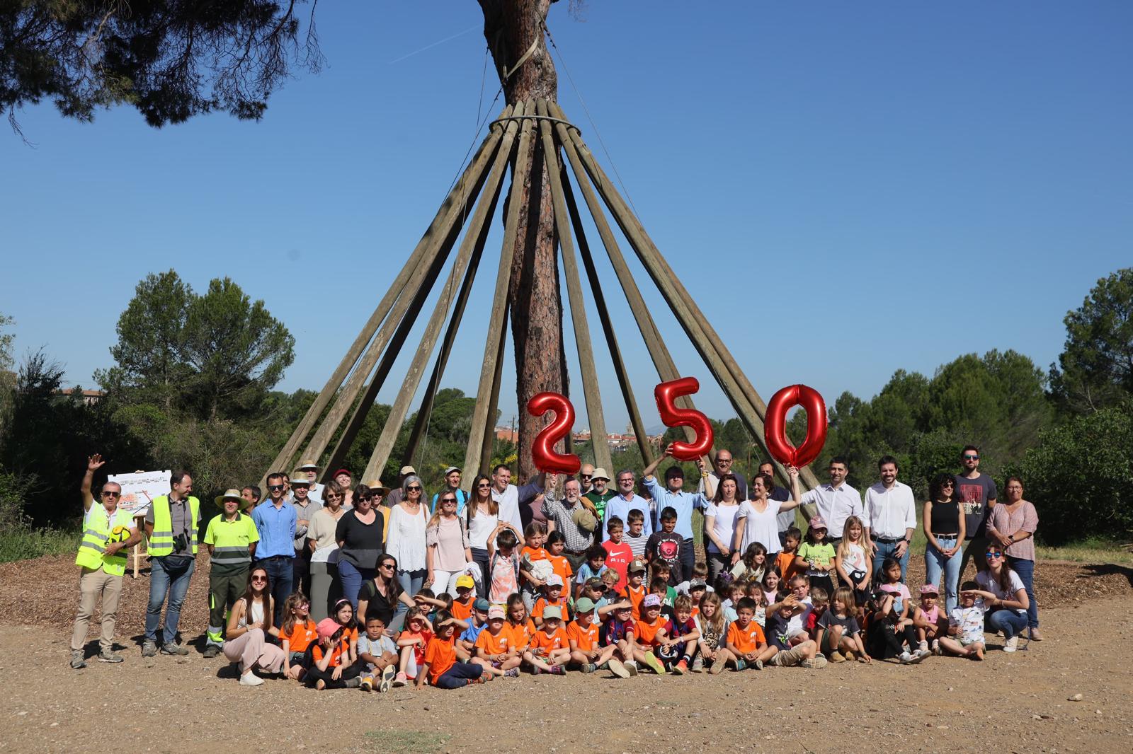 Celebració dels 250 anys del pi d'en Xandri amb els infants de l'escola que porta el seu nom FOTO: Ajuntament