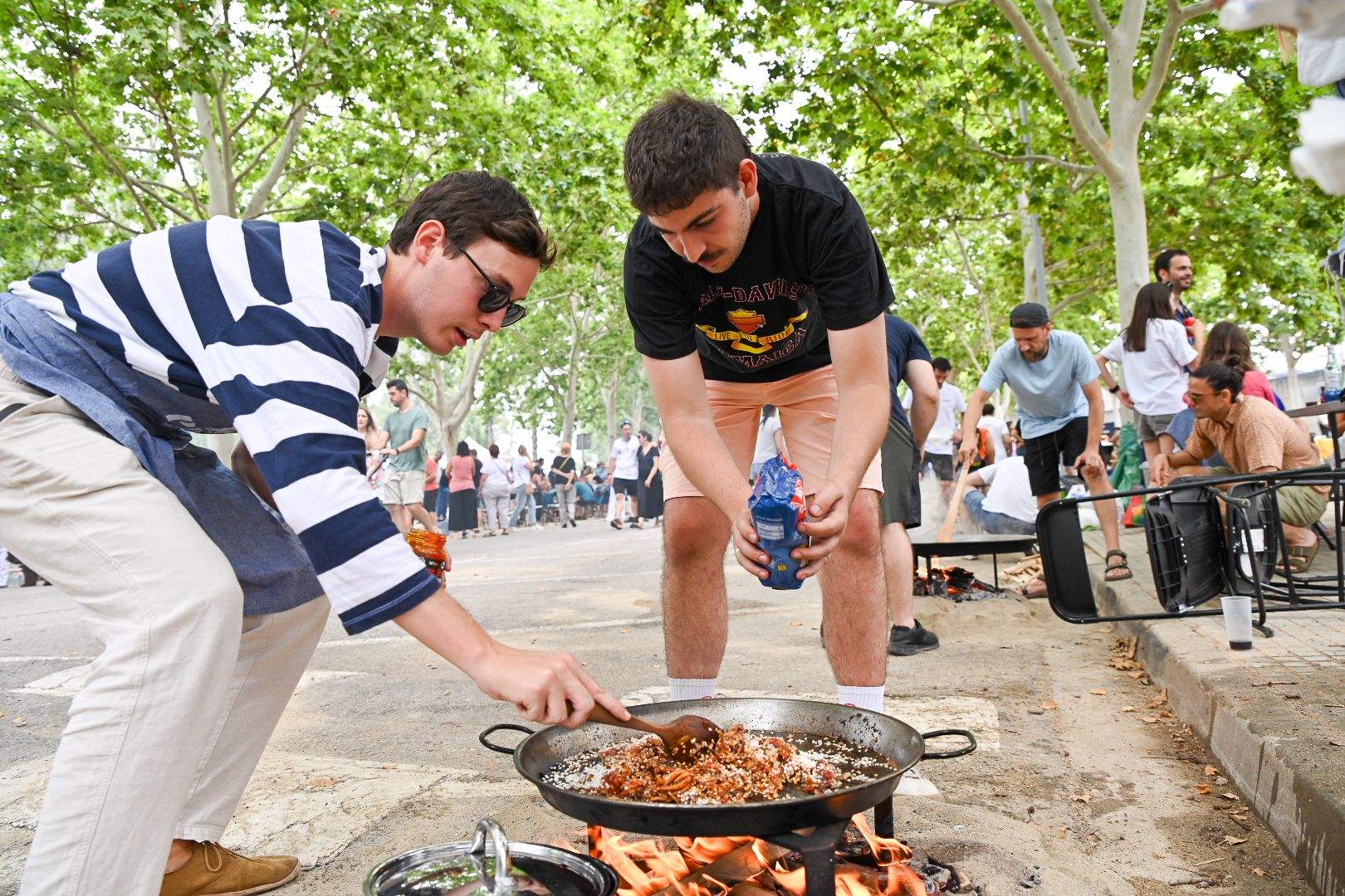 Concurs d'Arrossos de Festa Major FOTO: Albert Canalejo