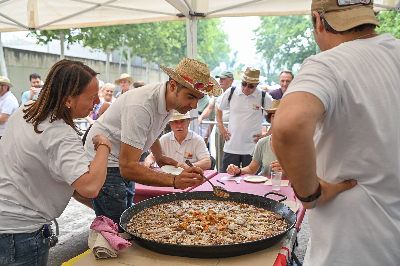 Concurs d'Arrossos de Festa Major FOTO: Albert Canalejo