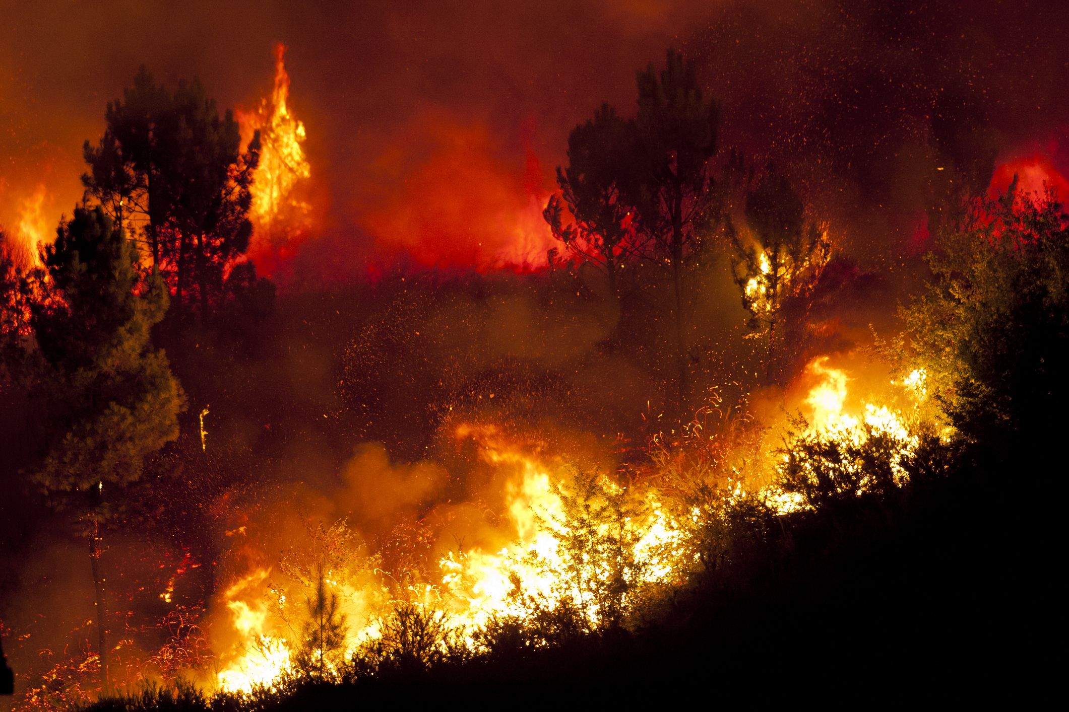 Durant el mes de juliol del 1994, ara fa 30 anys, es van produir els pitjors incendis forestals de la història del nostre país. FOTO: Cedida