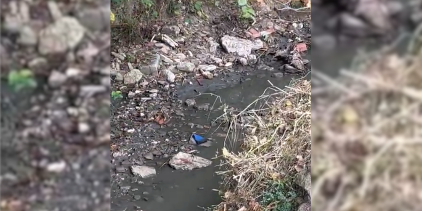 Aigües fecals a la riera FOTO: Cedida