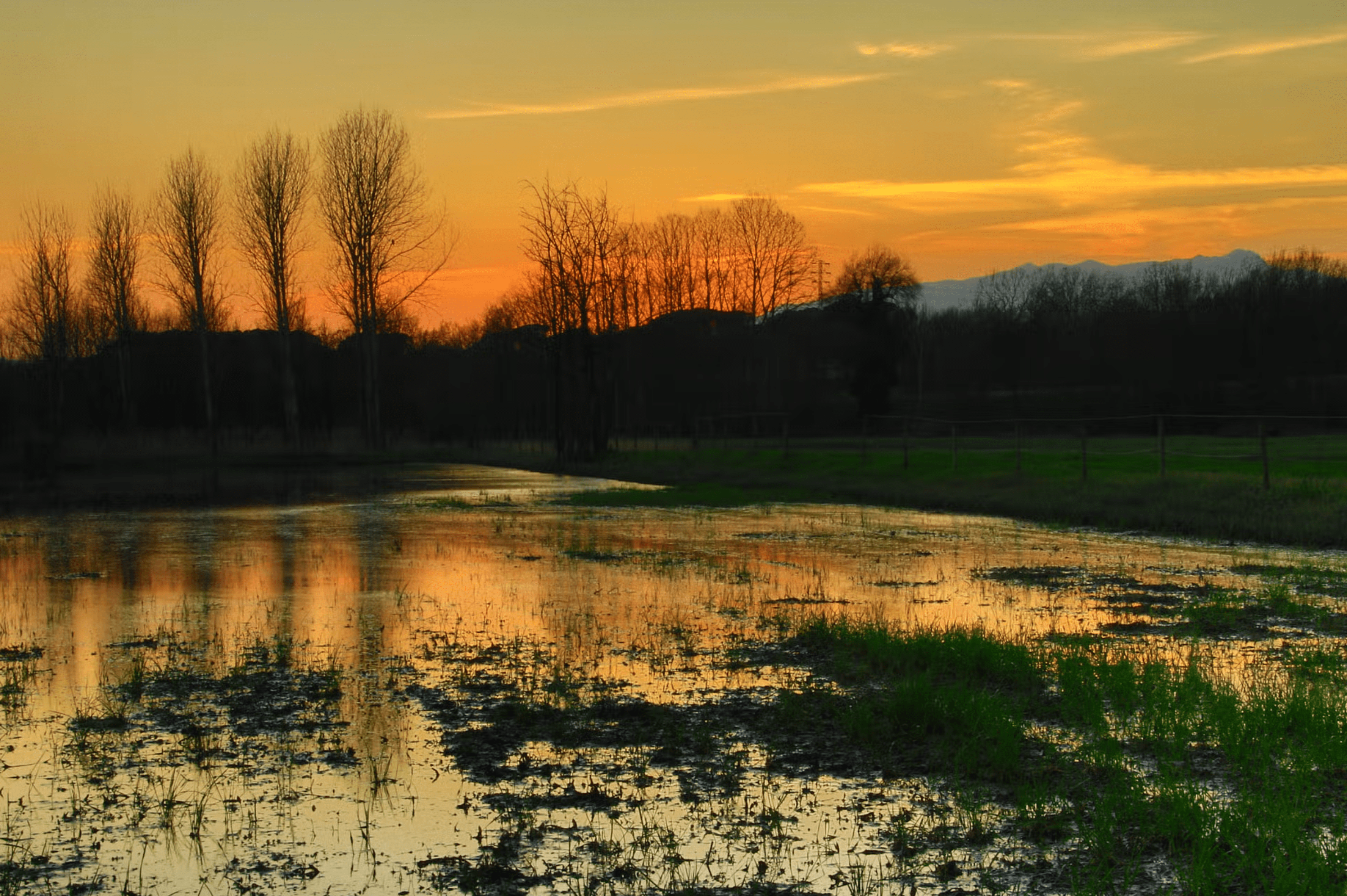 Excursió dels avis de Sant Cugat, visitant llocs emblemàtics com Sant Pere de Casserres, Santa Fe del Montseny i l’Estany de Sils. FOTO: Cedida
