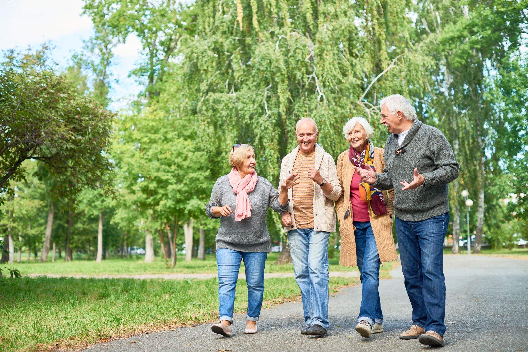 Passejos matinals pels parcs o jardins botànics són una bona opció per a les persones grans. FOTO: Cedida