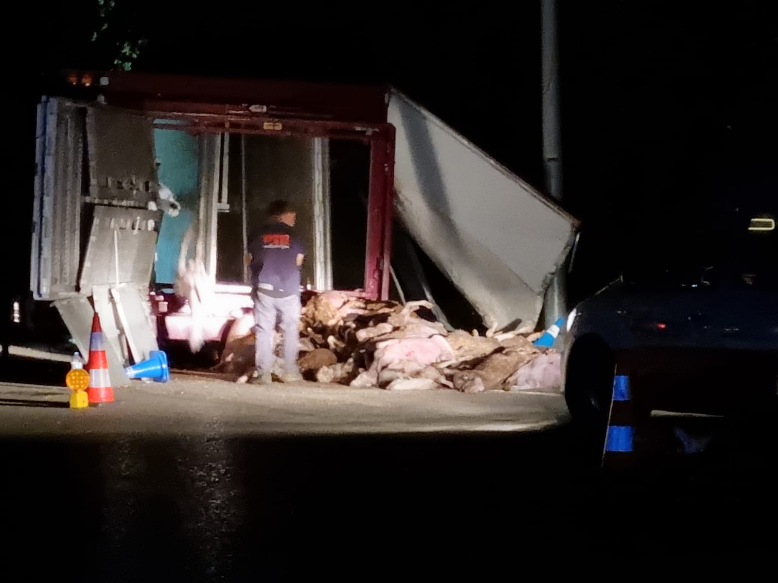 Accident amb el camió bolcat amb xais. FOTO: Cedida al TOT 