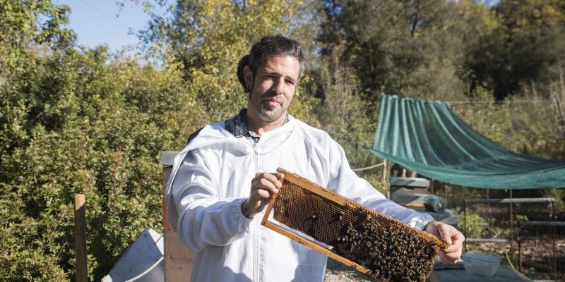  Melvida cuida les abelles amb amor i  molta dedicació  FOTO: Bernat Millet