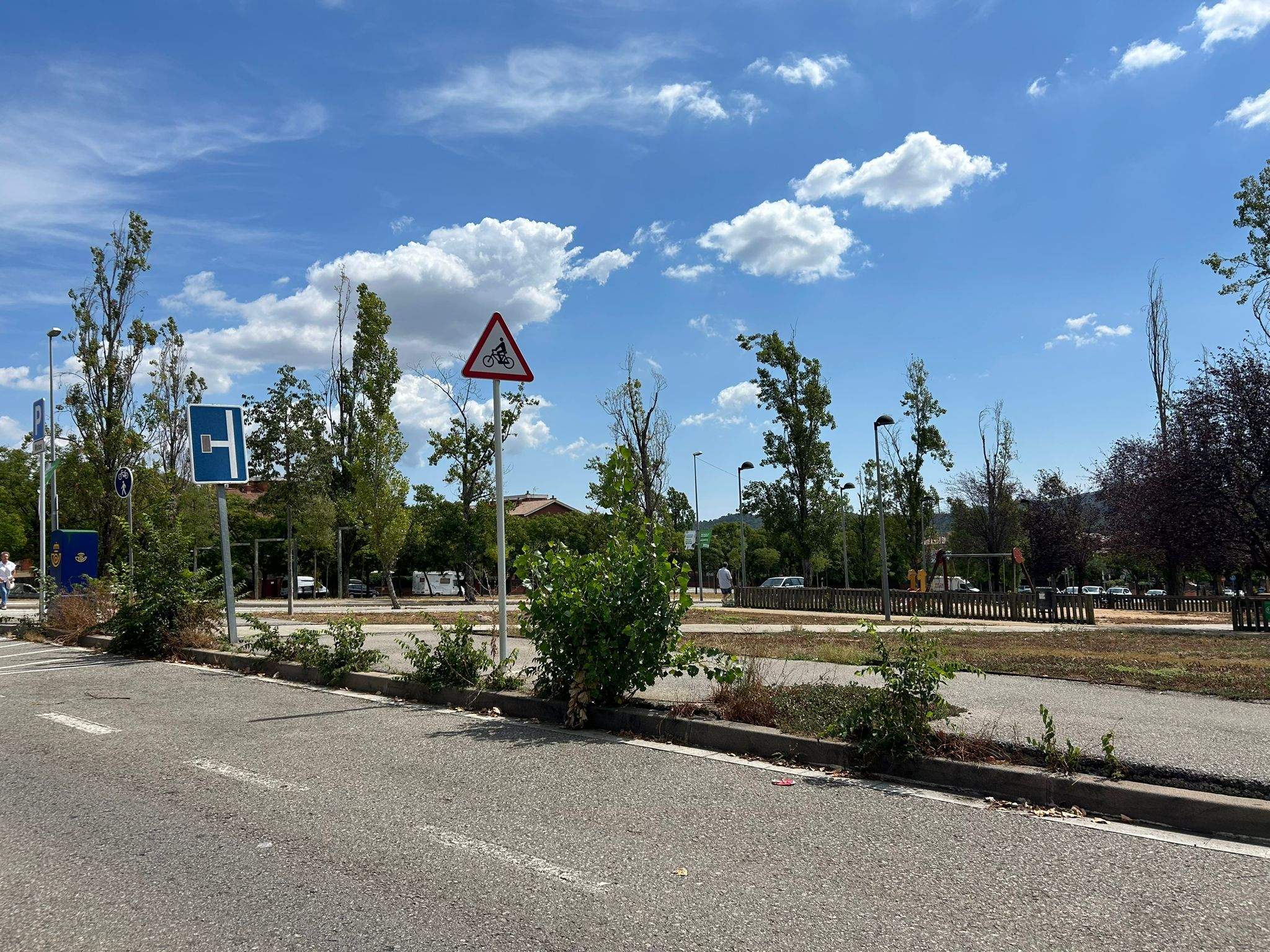 Males herbes al carrer de Carles Riba FOTO: Cedida