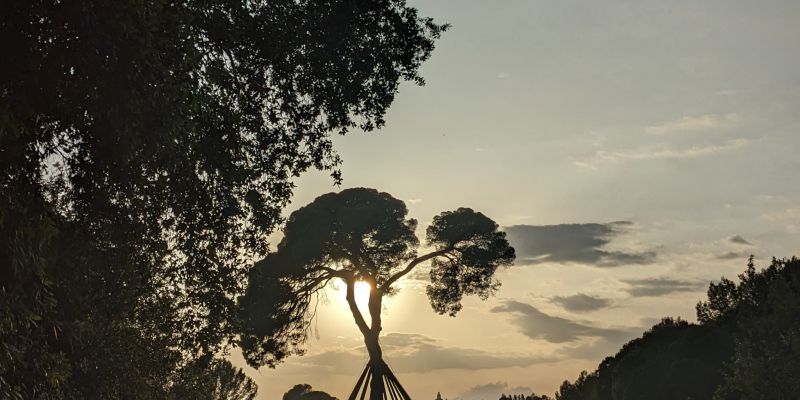 Posta de sol amb el Pi d'en Xandri · Pi d'en Xandri FOTO: Irene Roma Gimeno