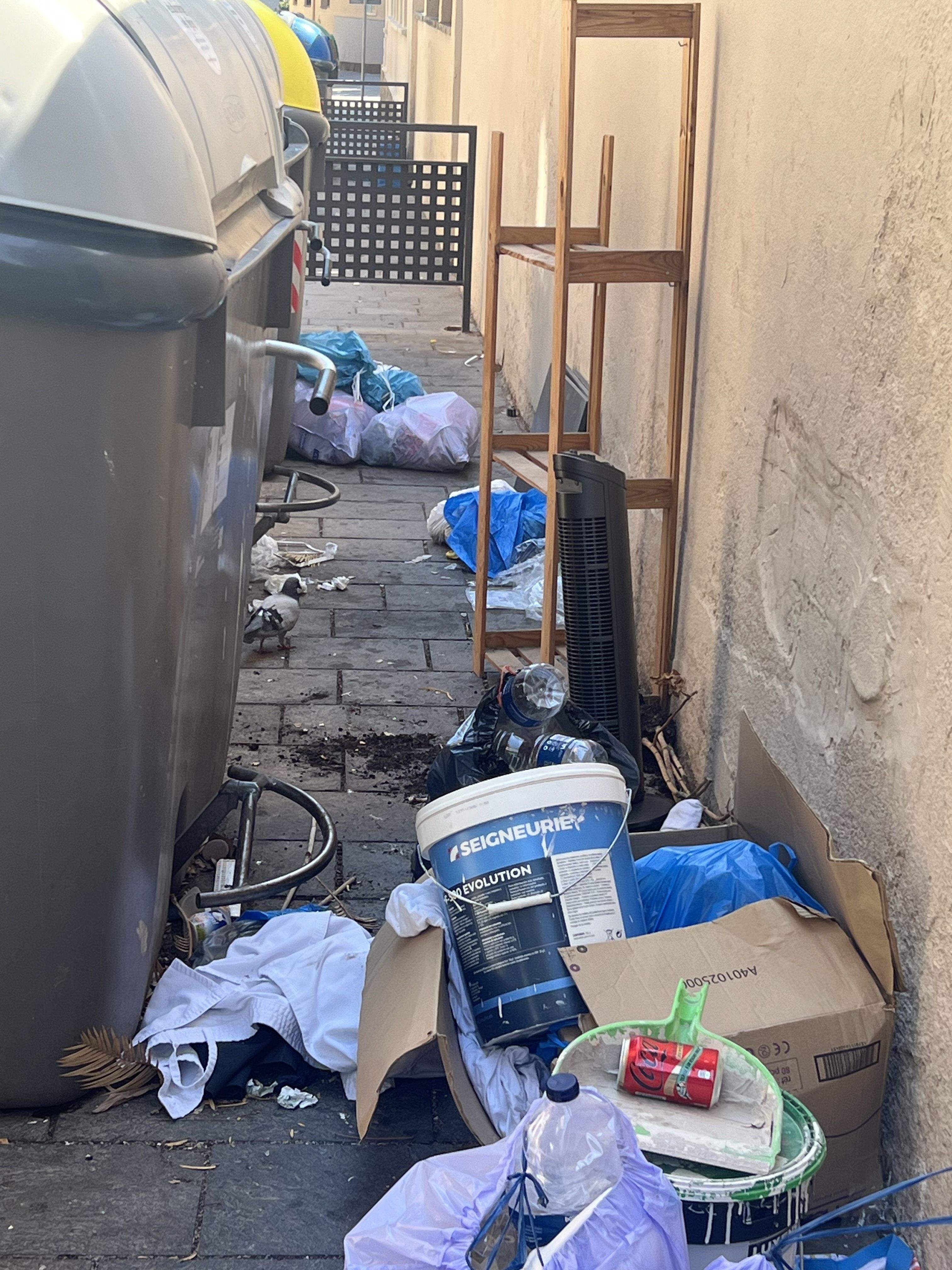 Contenidors i voltants bruts. FOTO: Elisenda Serra