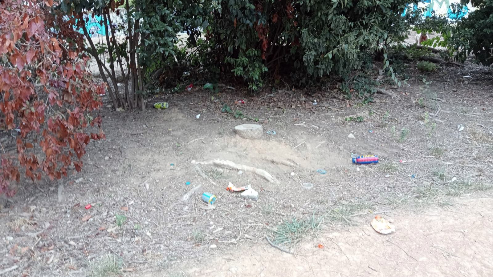 Deixalles al carrer. FOTO: Natàlia Ras