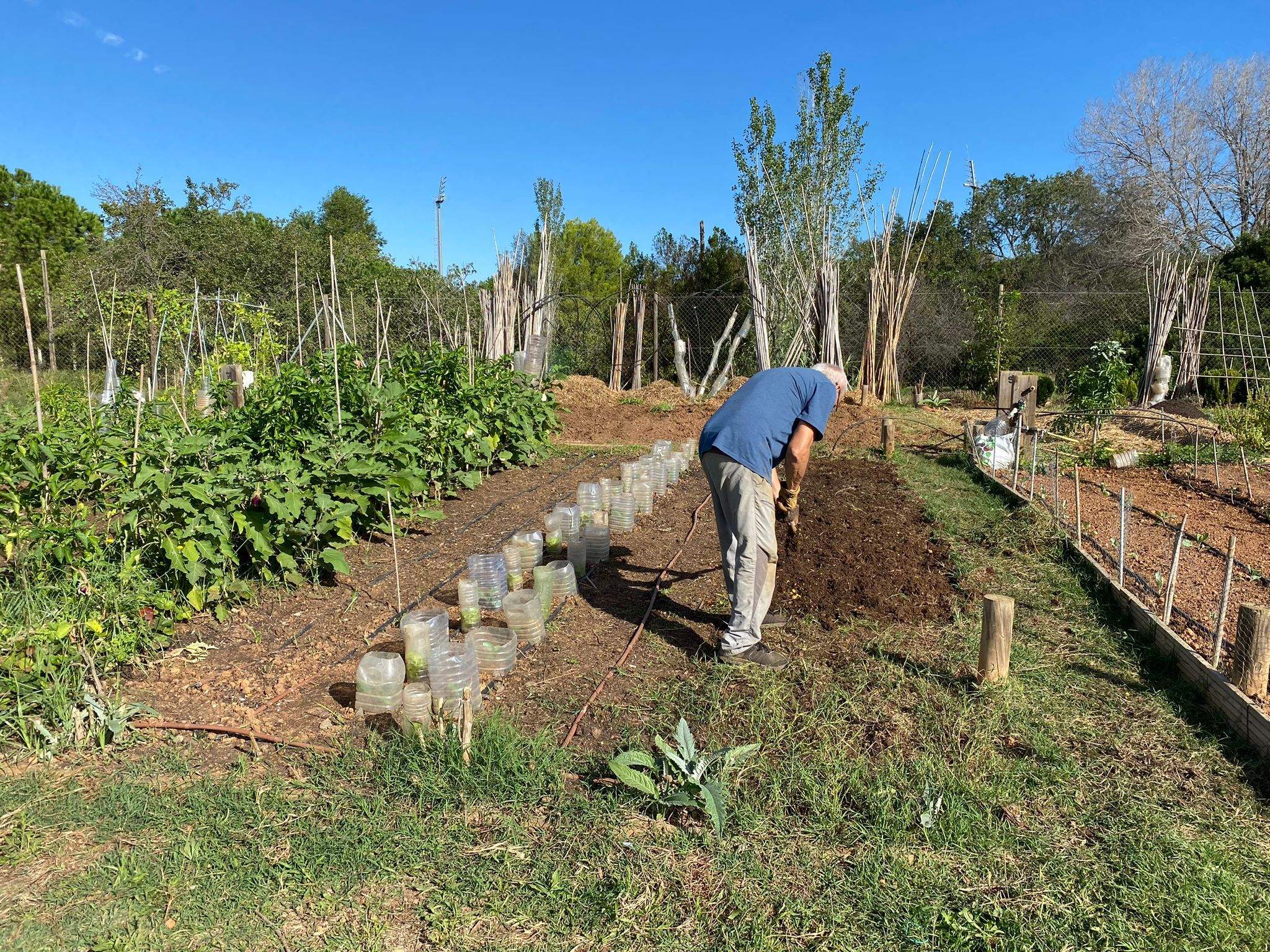 Horts urbans de l'EcoAteneu. FOTO: Ateneu Santcugatenc