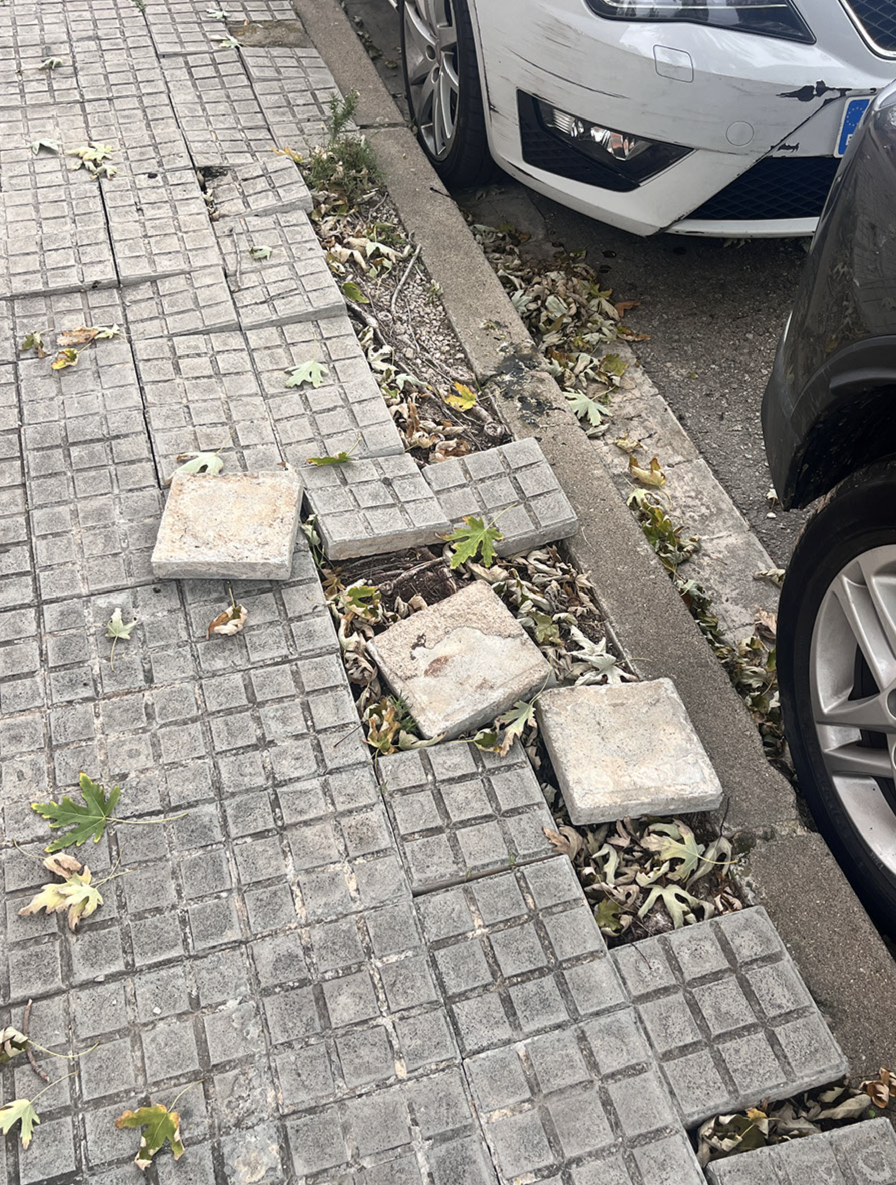 Vorera malmesa. FOTO: Xavi Pie Arqués