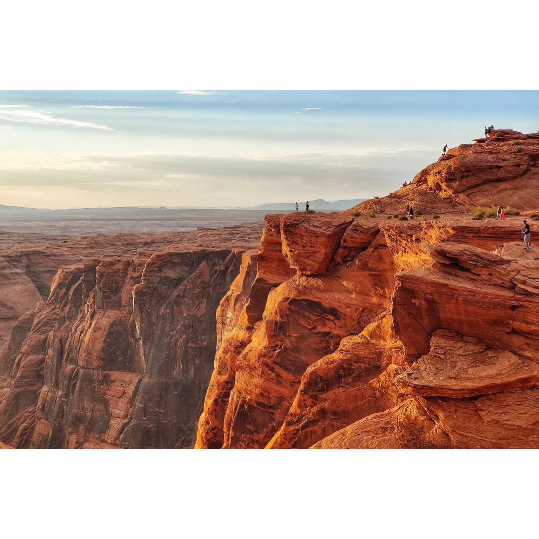 AntsJPEG FOTO: almareste