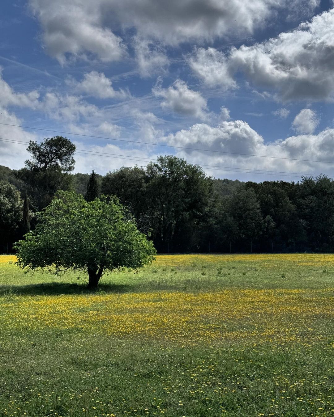 totfotoportada2024 FOTO: s.n.v.2020