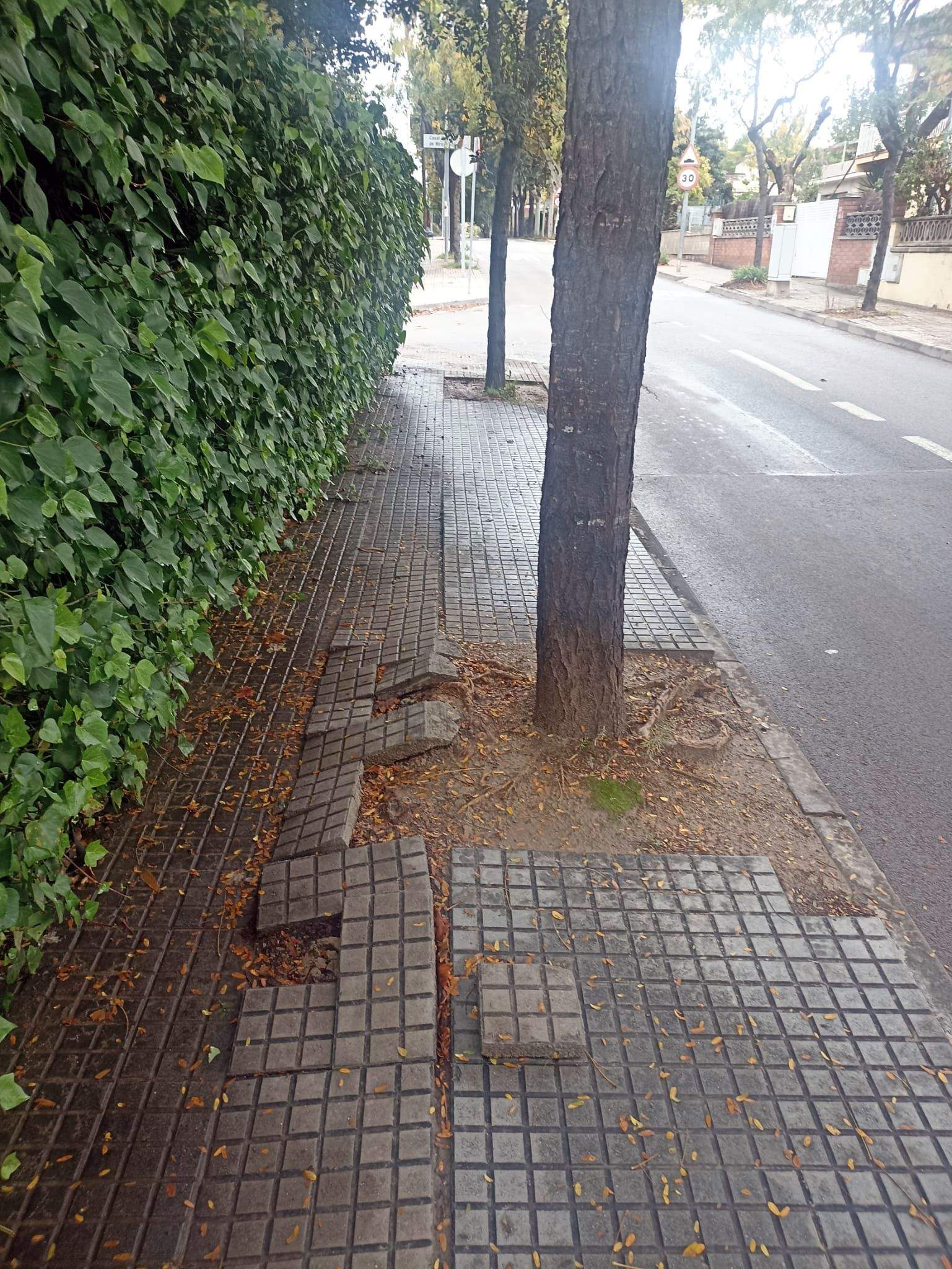 Vorera en mal estat. FOTO: Jordi Selvas