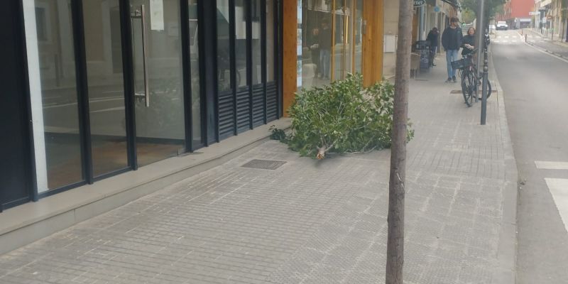 WhatsApp Image 2024 11 20 at 11.00.23